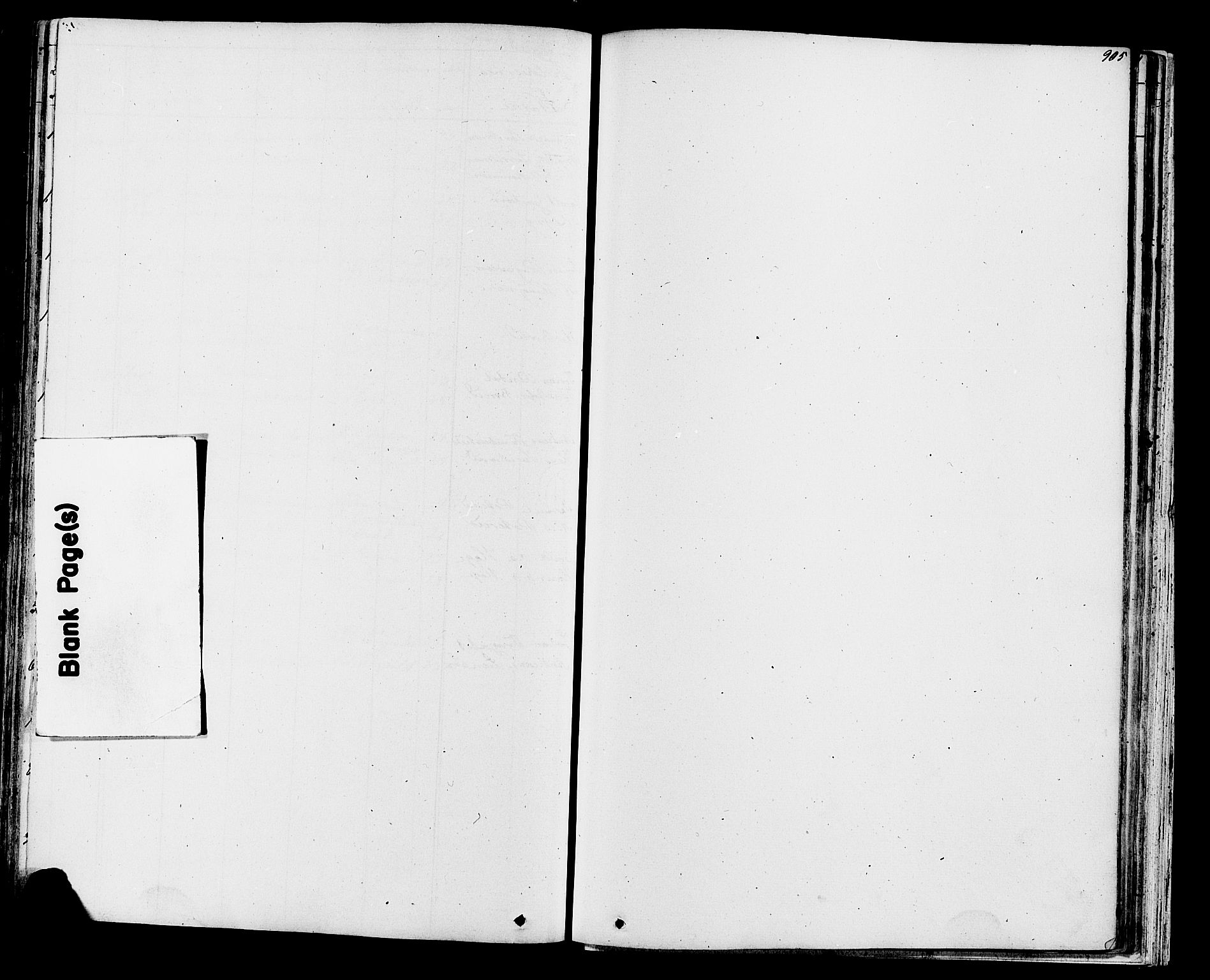 Fåberg prestekontor, SAH/PREST-086/H/Ha/Hab/L0007: Parish register (copy) no. 7, 1856-1891, p. 904-905
