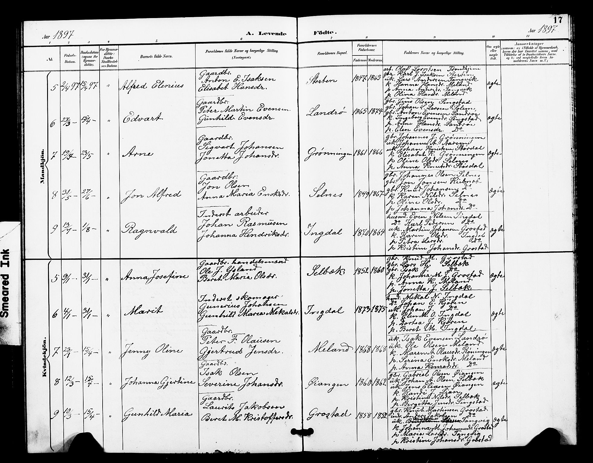 Ministerialprotokoller, klokkerbøker og fødselsregistre - Sør-Trøndelag, SAT/A-1456/663/L0762: Parish register (copy) no. 663C02, 1894-1899, p. 17