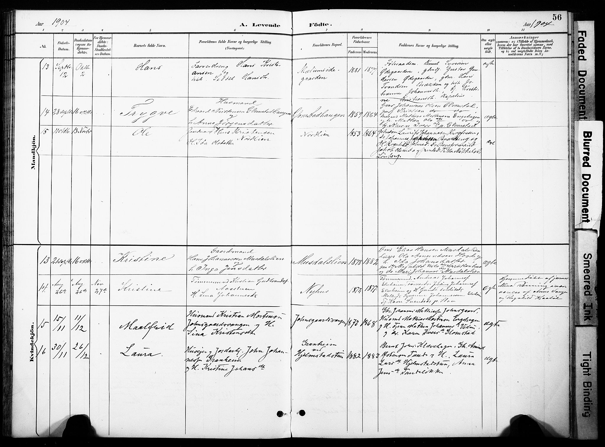 Øyer prestekontor, SAH/PREST-084/H/Ha/Haa/L0011: Parish register (official) no. 11, 1894-1905, p. 56