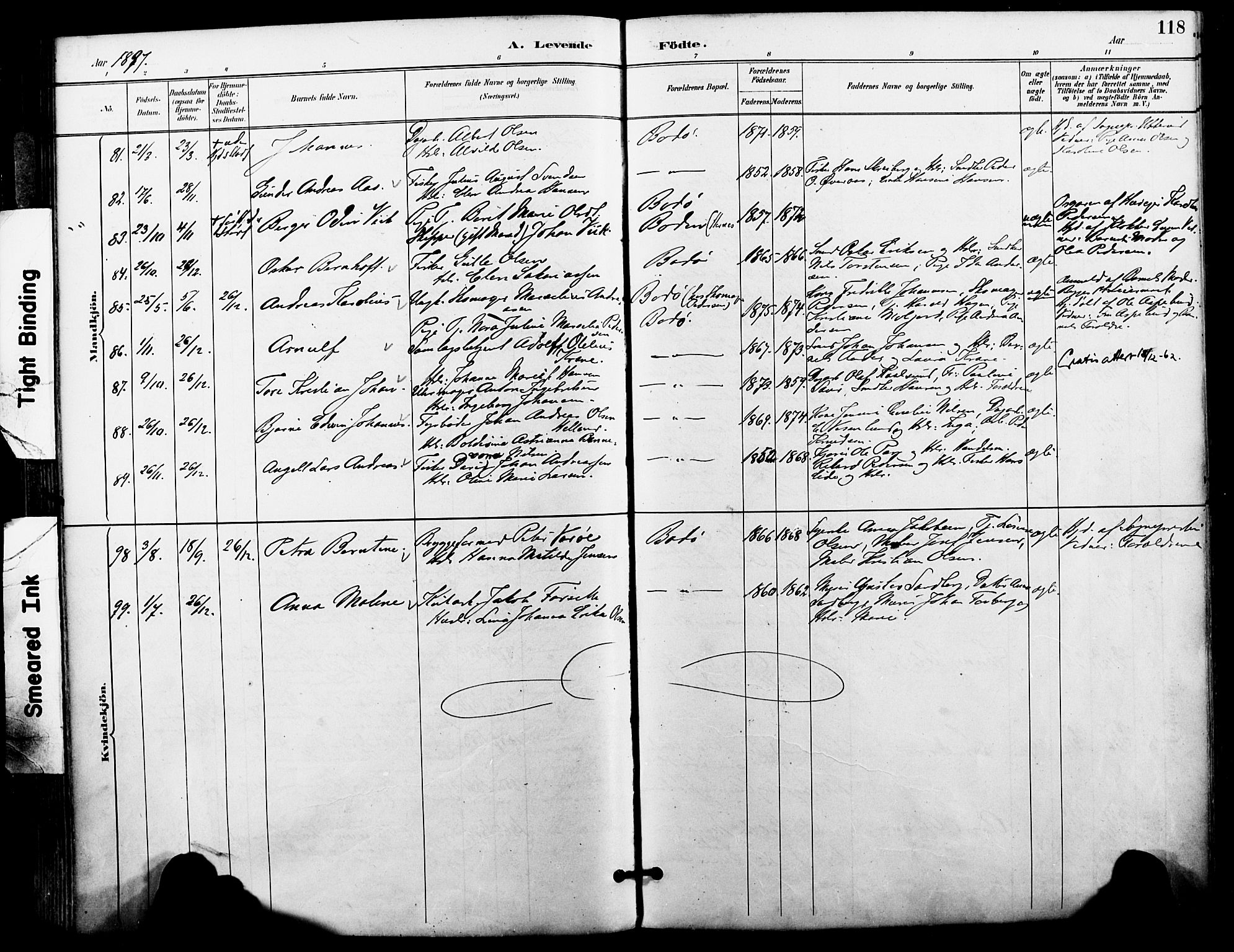 Ministerialprotokoller, klokkerbøker og fødselsregistre - Nordland, AV/SAT-A-1459/801/L0010: Parish register (official) no. 801A10, 1888-1899, p. 118