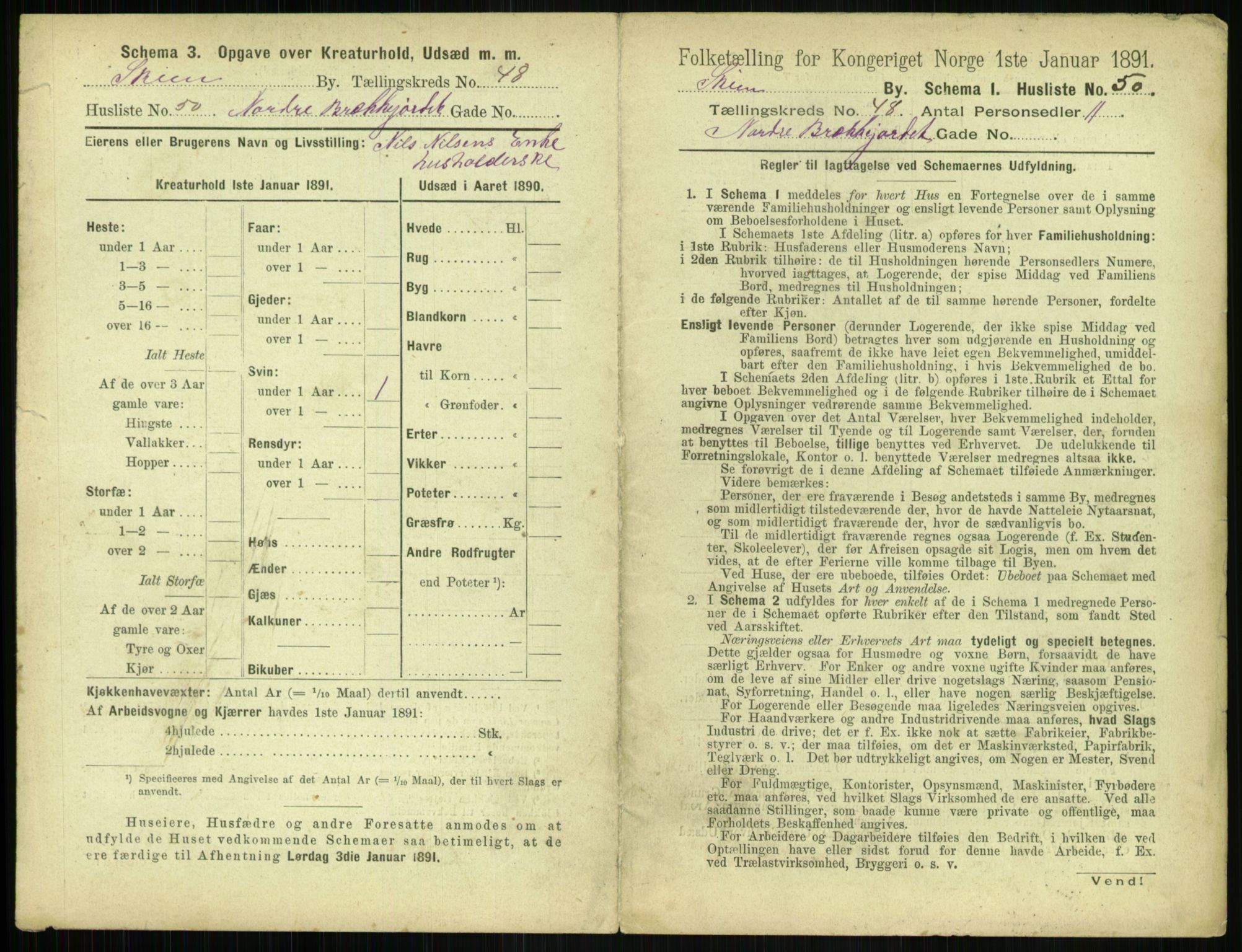 RA, 1891 census for 0806 Skien, 1891, p. 1880