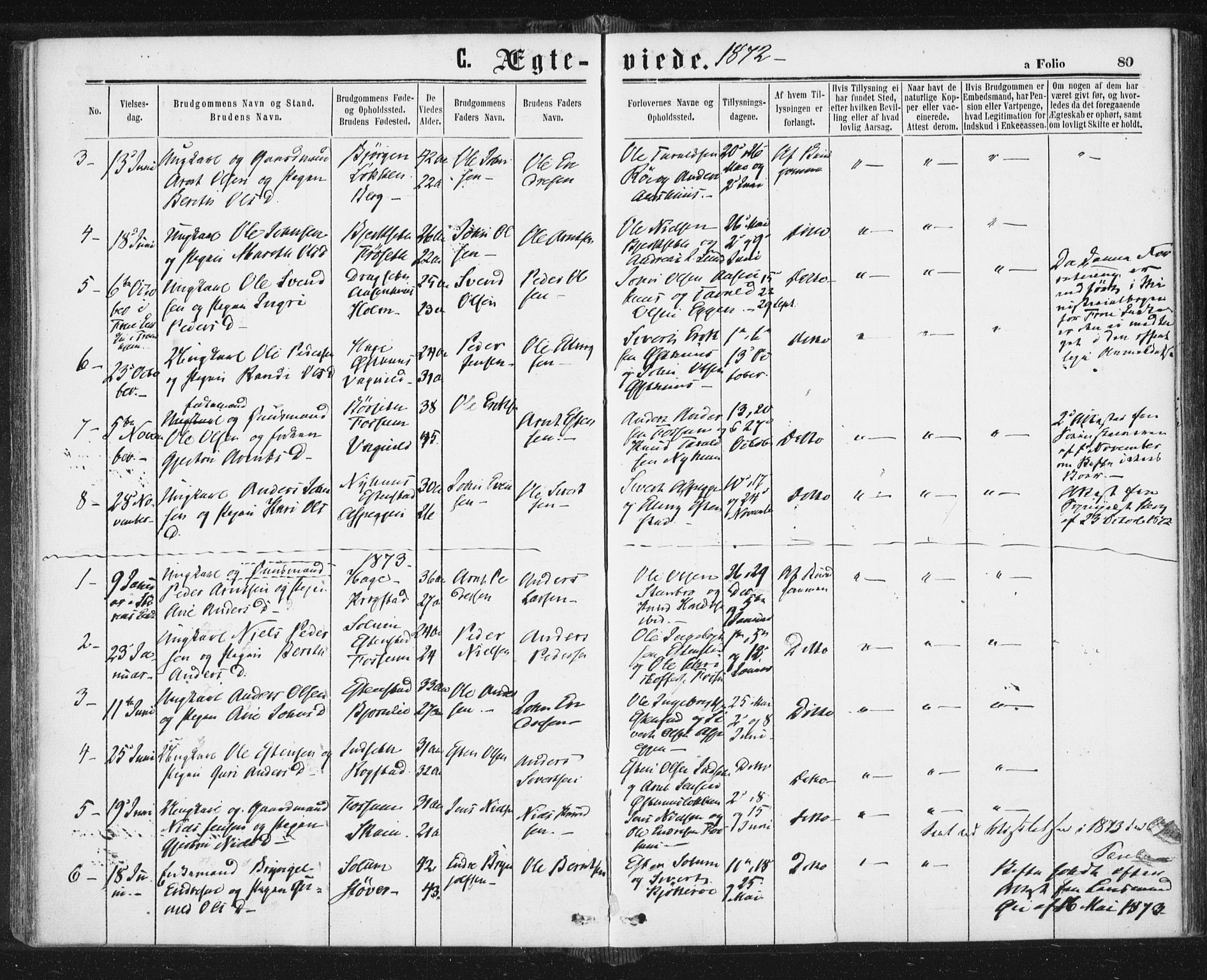 Ministerialprotokoller, klokkerbøker og fødselsregistre - Sør-Trøndelag, SAT/A-1456/689/L1039: Parish register (official) no. 689A04, 1865-1878, p. 80