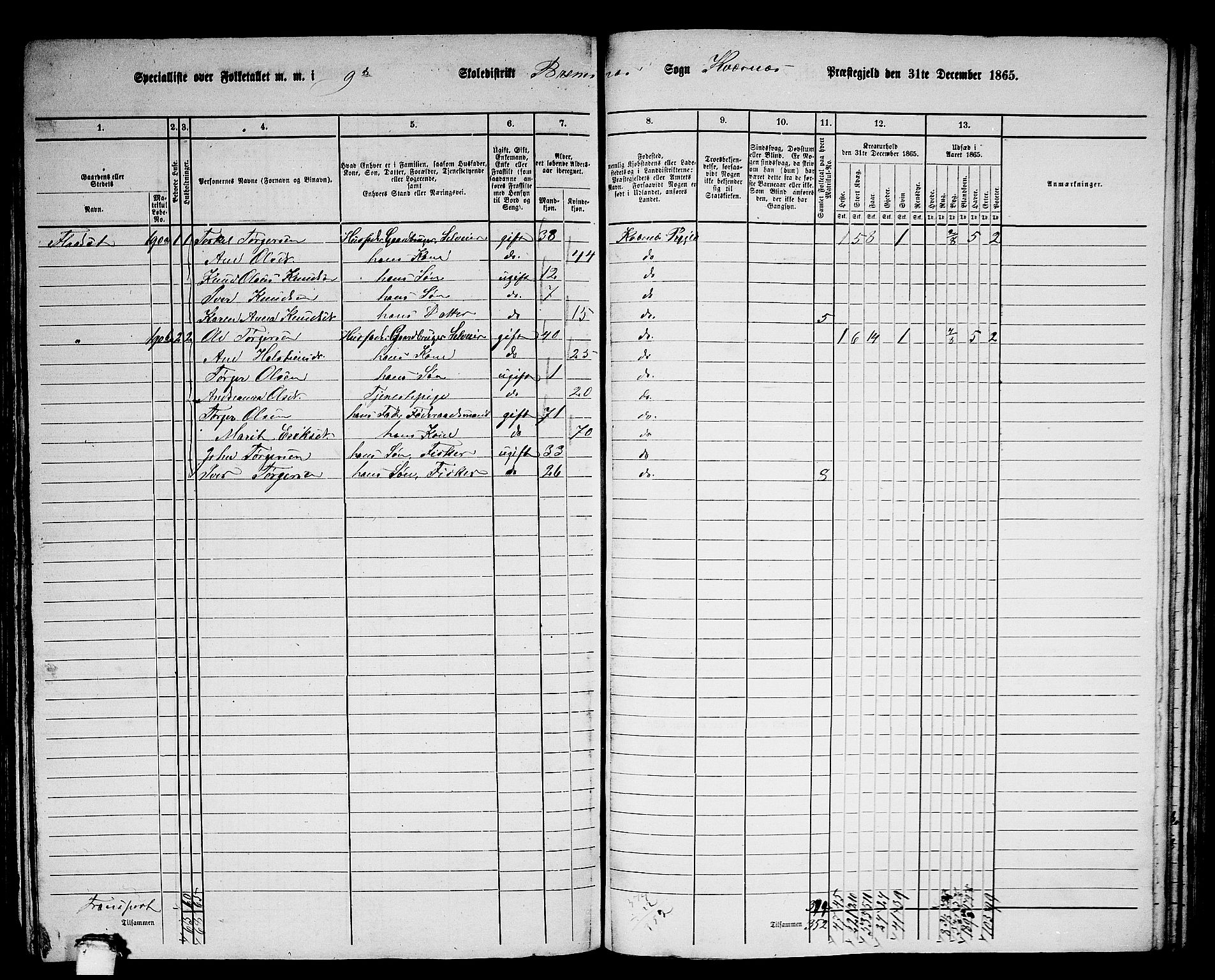 RA, 1865 census for Kvernes, 1865, p. 171