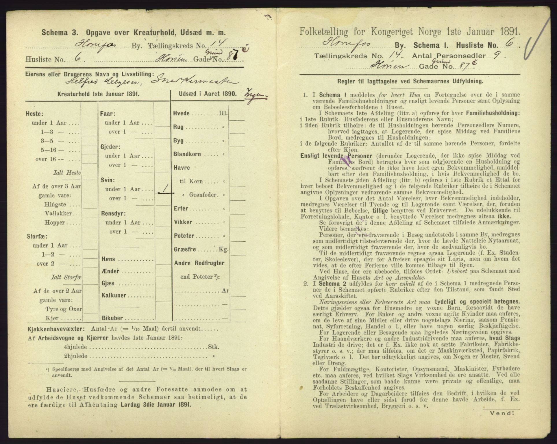 RA, 1891 census for 0601 Hønefoss, 1891, p. 313