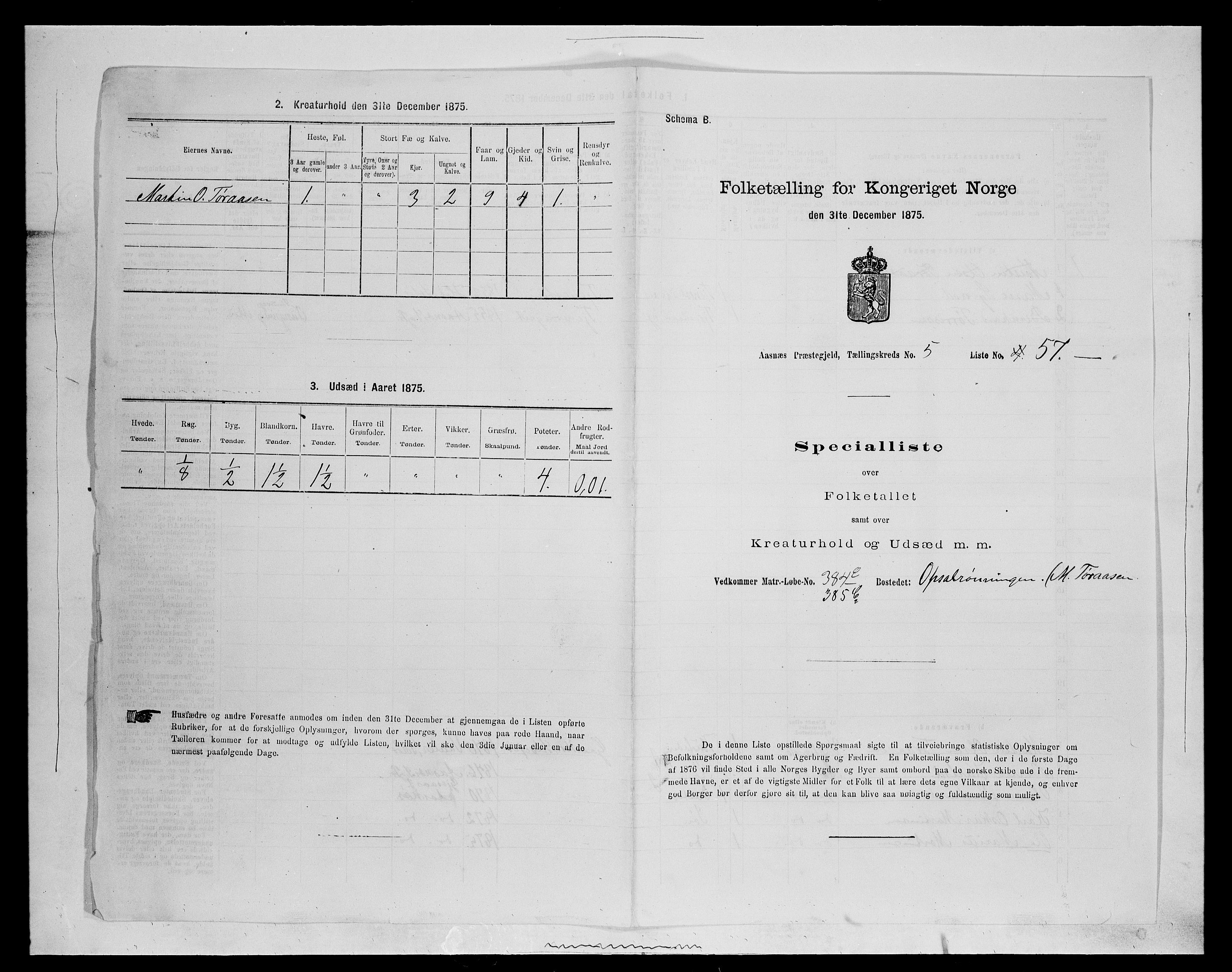 SAH, 1875 census for 0425P Åsnes, 1875, p. 812