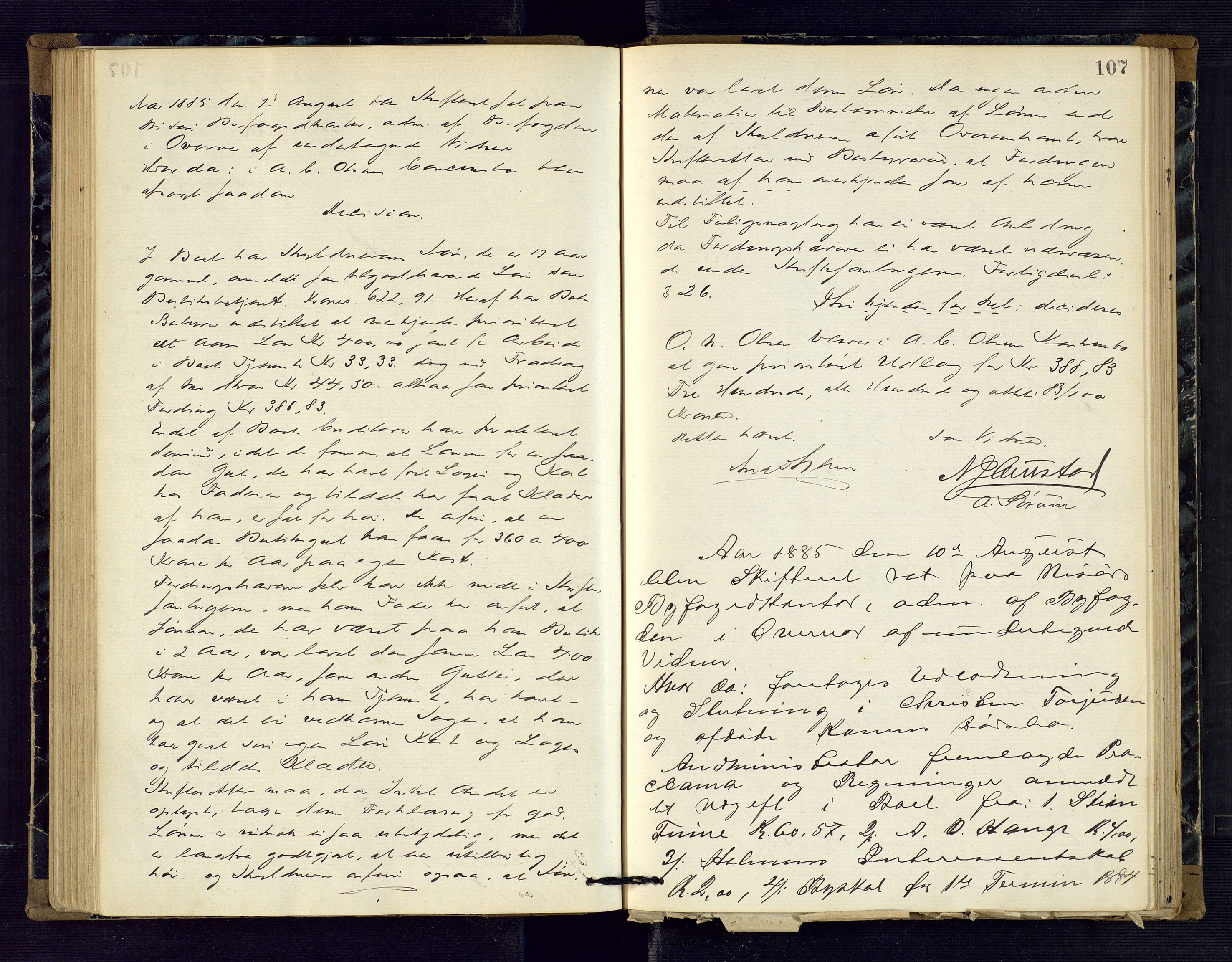 Risør byfogd, AV/SAK-1222-0005/H/Hc/L0004: Skifteprotokoll nr. 3B, 1882-1886, p. 107