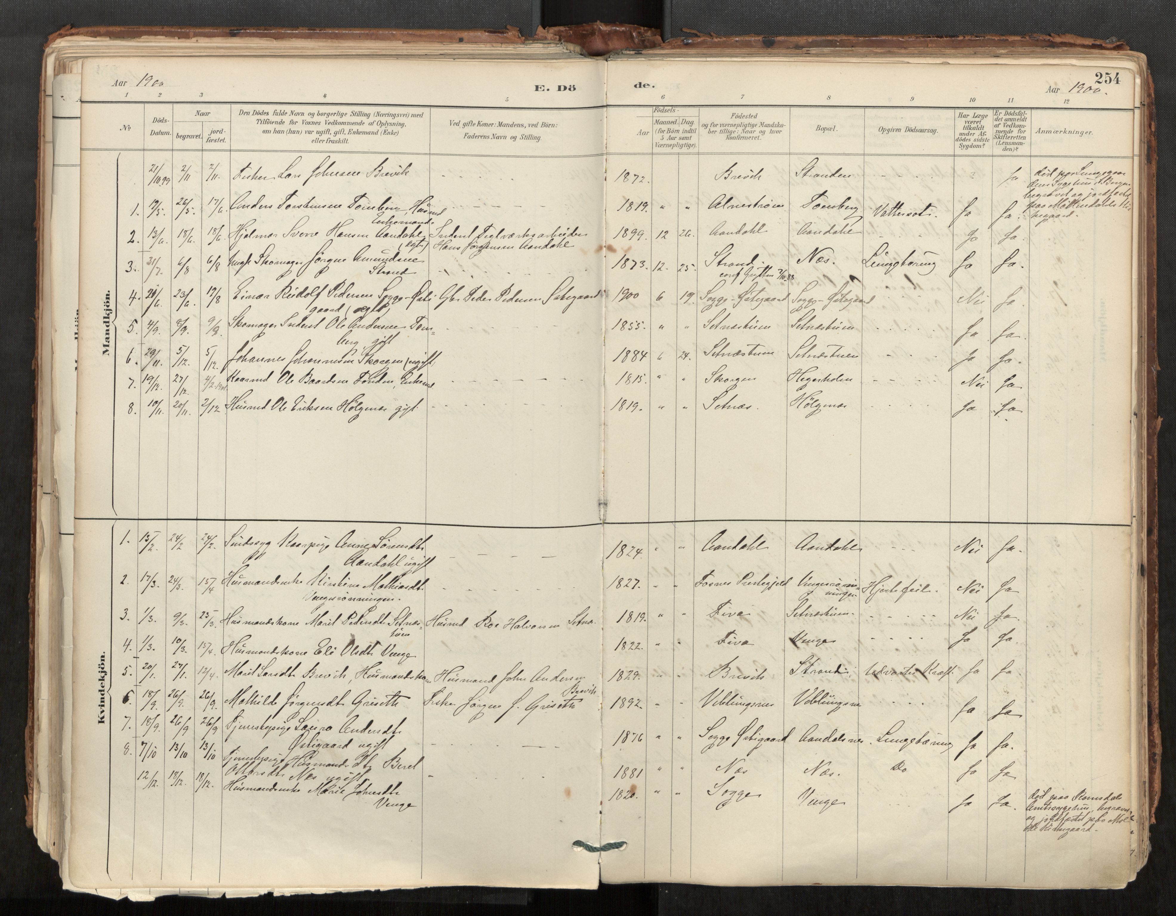 Ministerialprotokoller, klokkerbøker og fødselsregistre - Møre og Romsdal, AV/SAT-A-1454/544/L0585: Parish register (official) no. 544A06, 1887-1924, p. 254