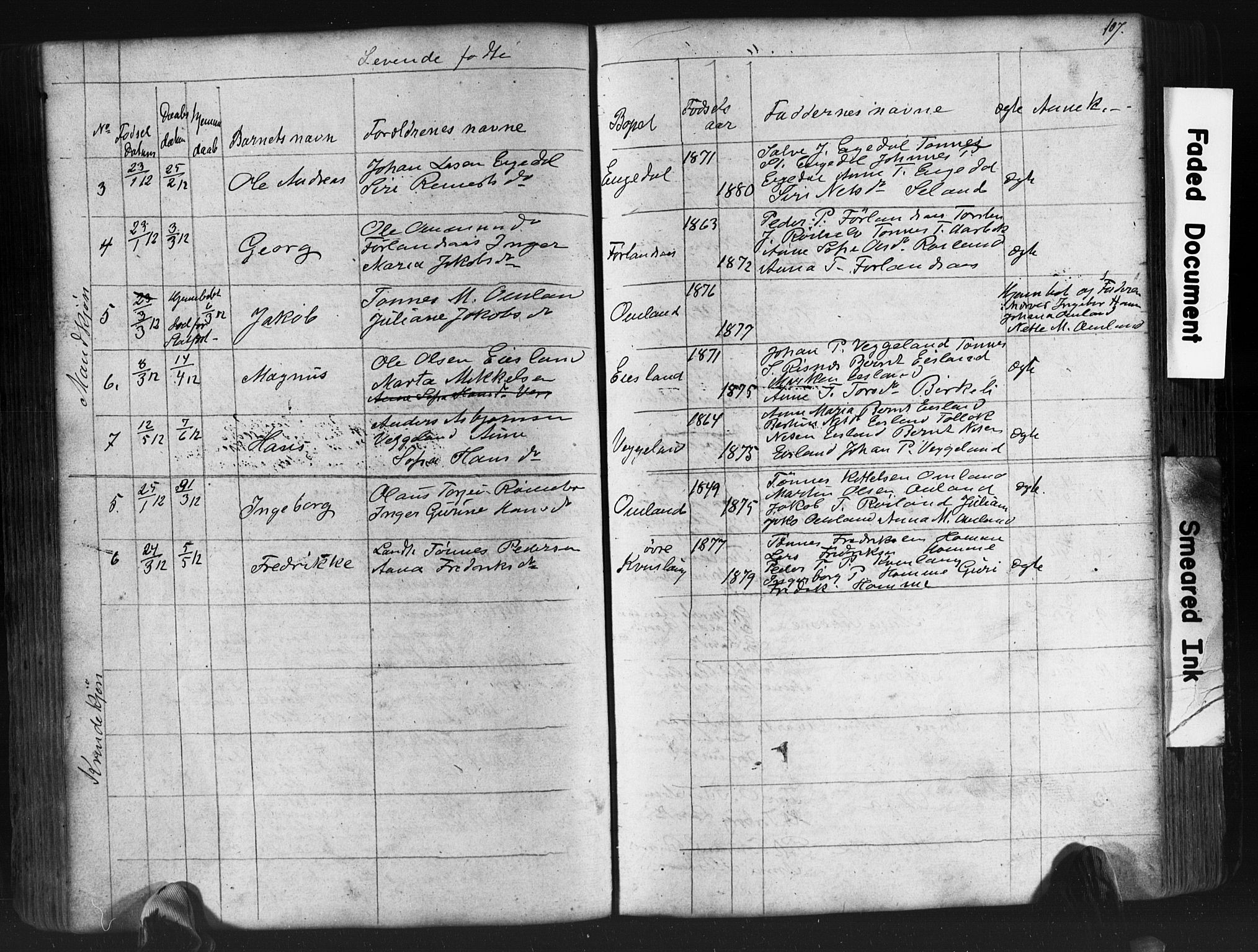 Fjotland sokneprestkontor, AV/SAK-1111-0010/F/Fb/L0003: Parish register (copy) no. B 3, 1872-1924, p. 107