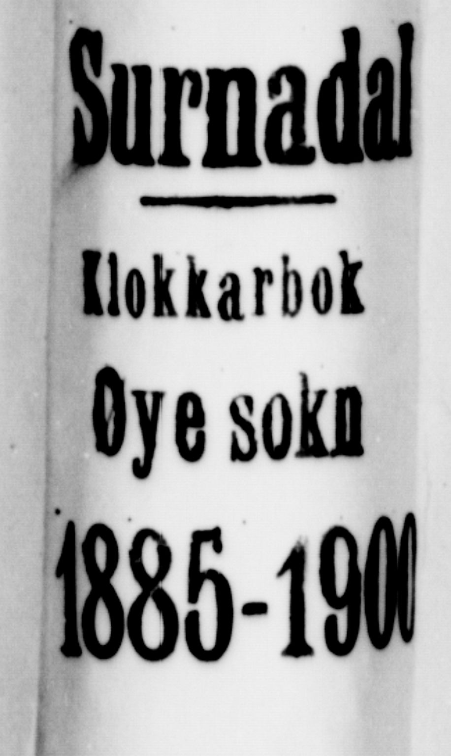 Ministerialprotokoller, klokkerbøker og fødselsregistre - Møre og Romsdal, AV/SAT-A-1454/595/L1052: Parish register (copy) no. 595C04, 1885-1900