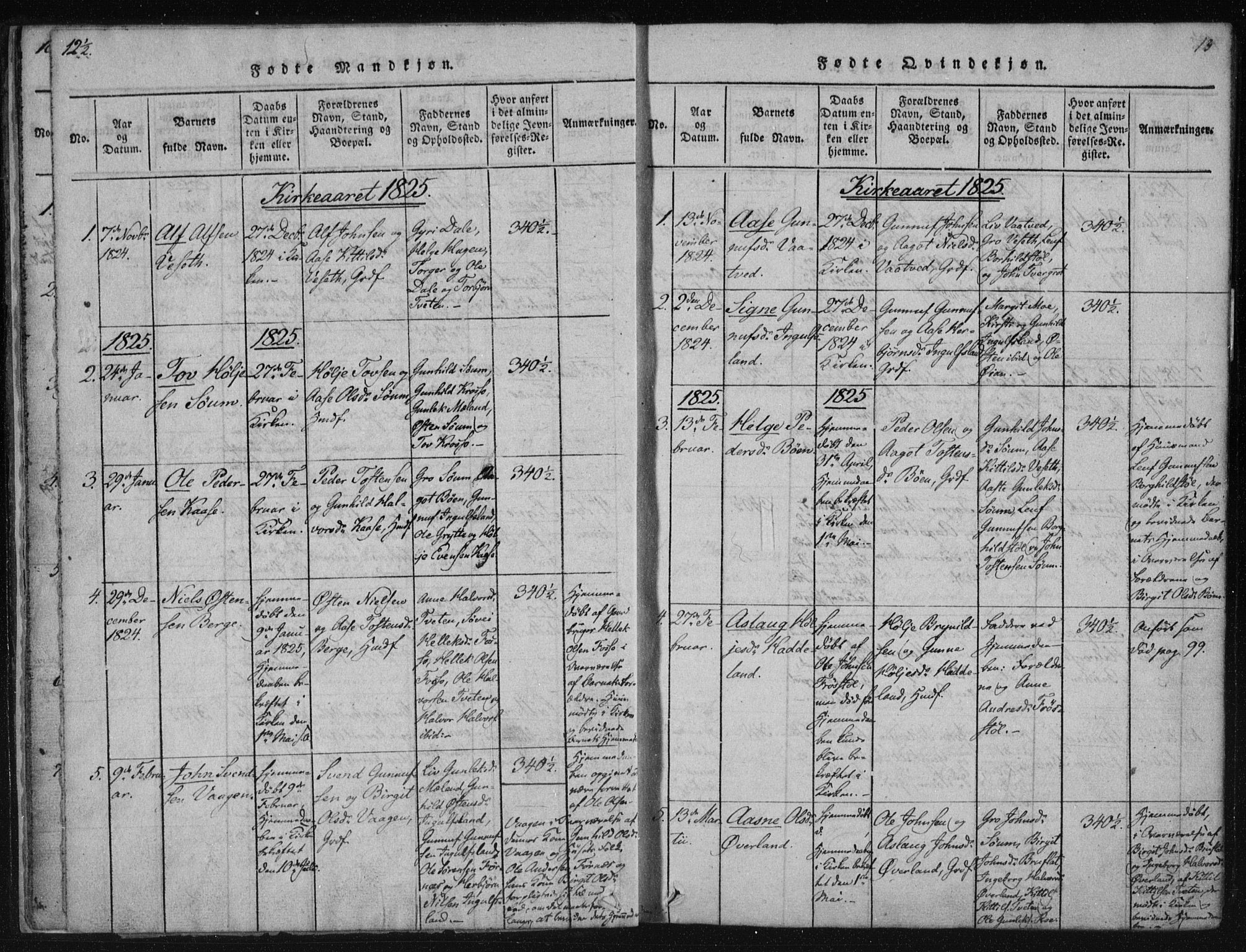 Tinn kirkebøker, SAKO/A-308/F/Fc/L0001: Parish register (official) no. III 1, 1815-1843, p. 13