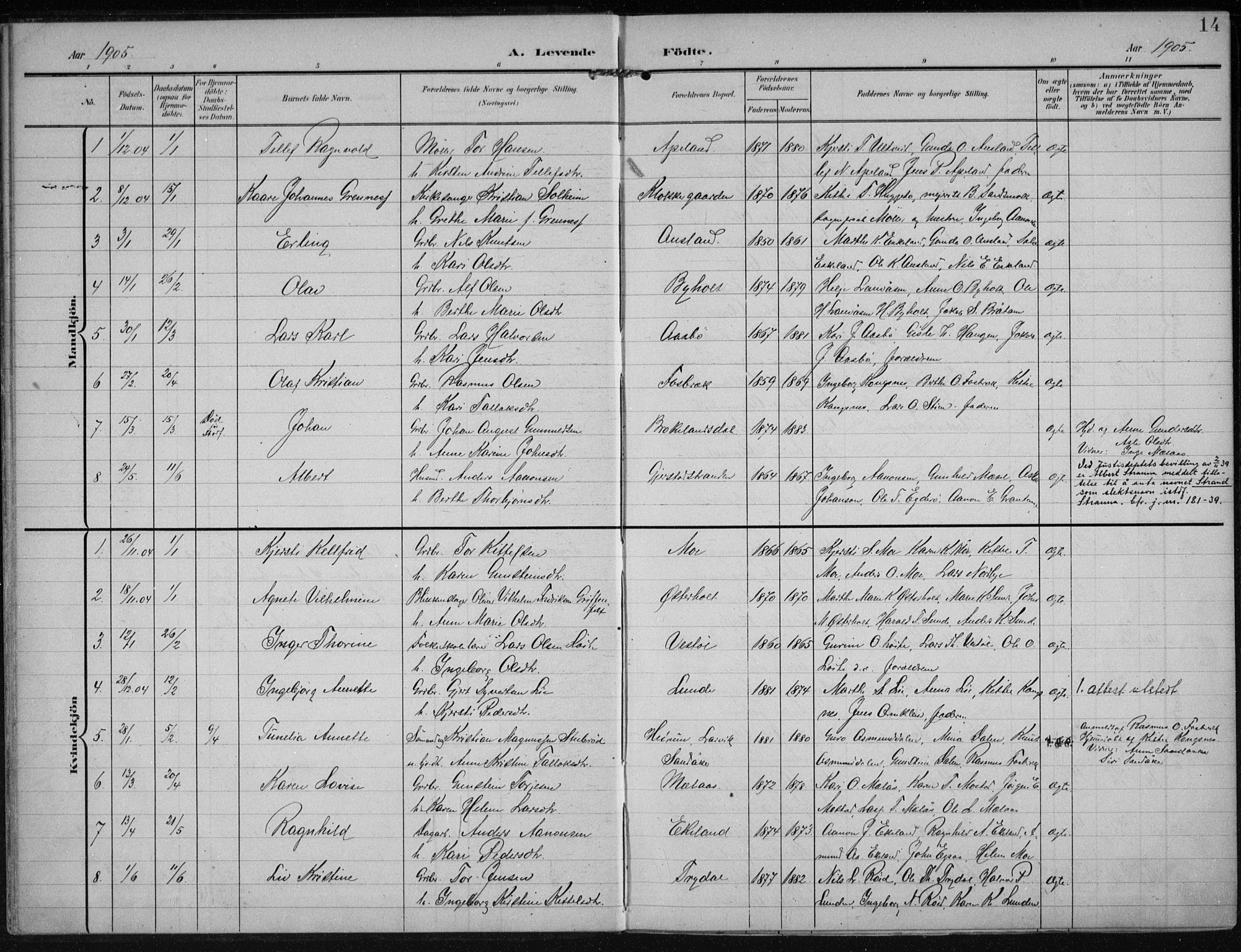 Gjerstad sokneprestkontor, AV/SAK-1111-0014/F/Fa/Faa/L0011: Parish register (official) no. A 11, 1903-1914, p. 14