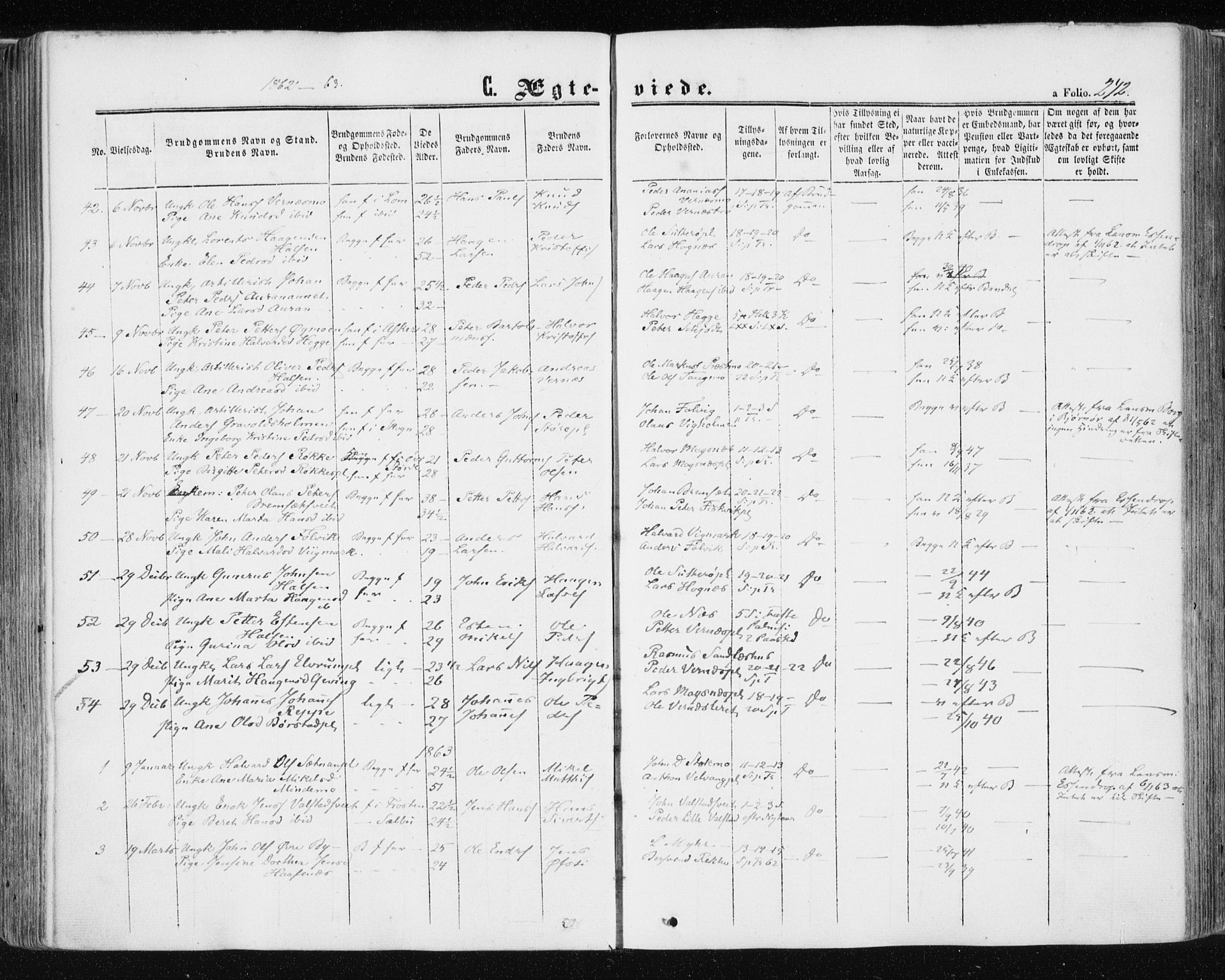 Ministerialprotokoller, klokkerbøker og fødselsregistre - Nord-Trøndelag, AV/SAT-A-1458/709/L0075: Parish register (official) no. 709A15, 1859-1870, p. 242