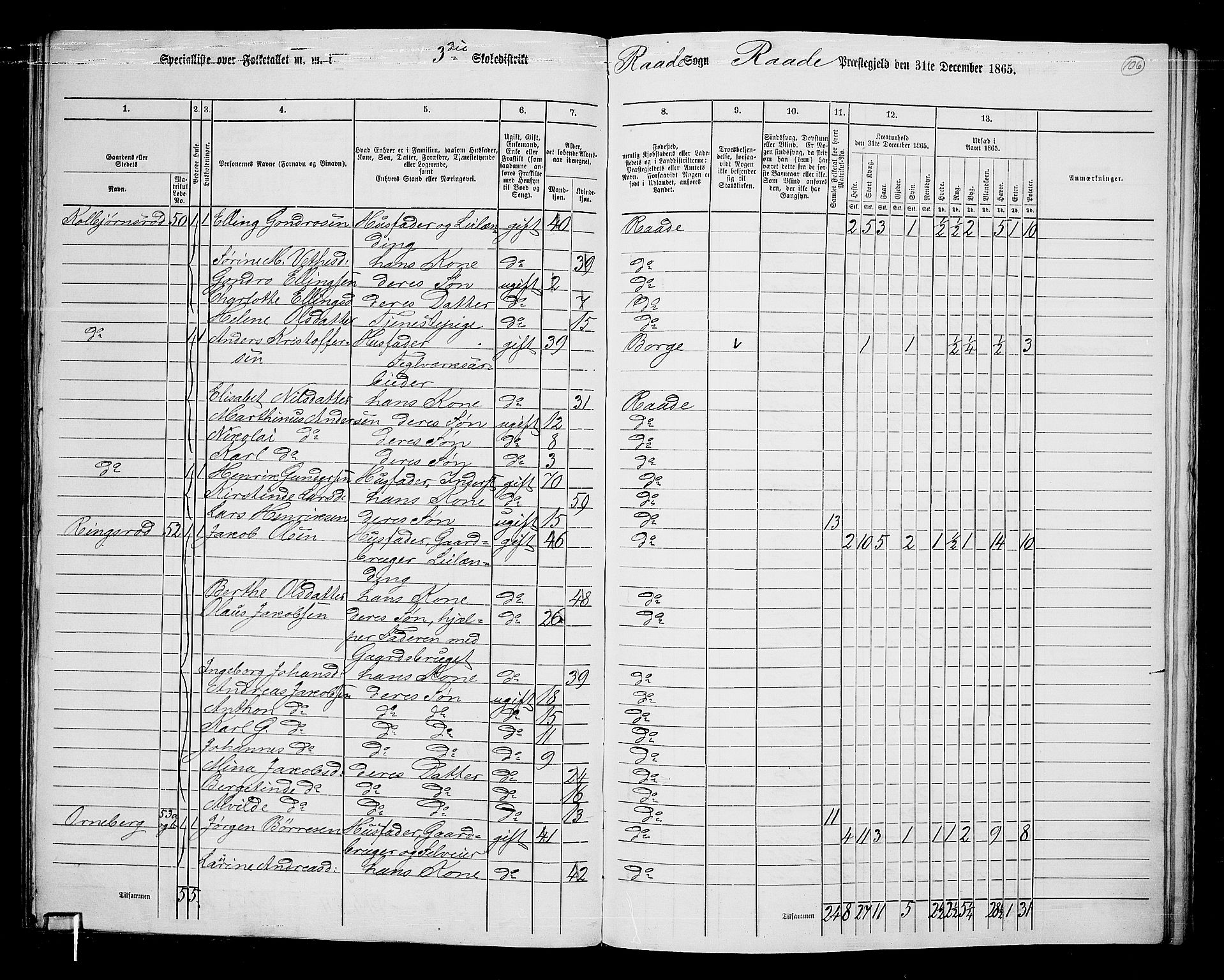 RA, 1865 census for Råde, 1865, p. 98