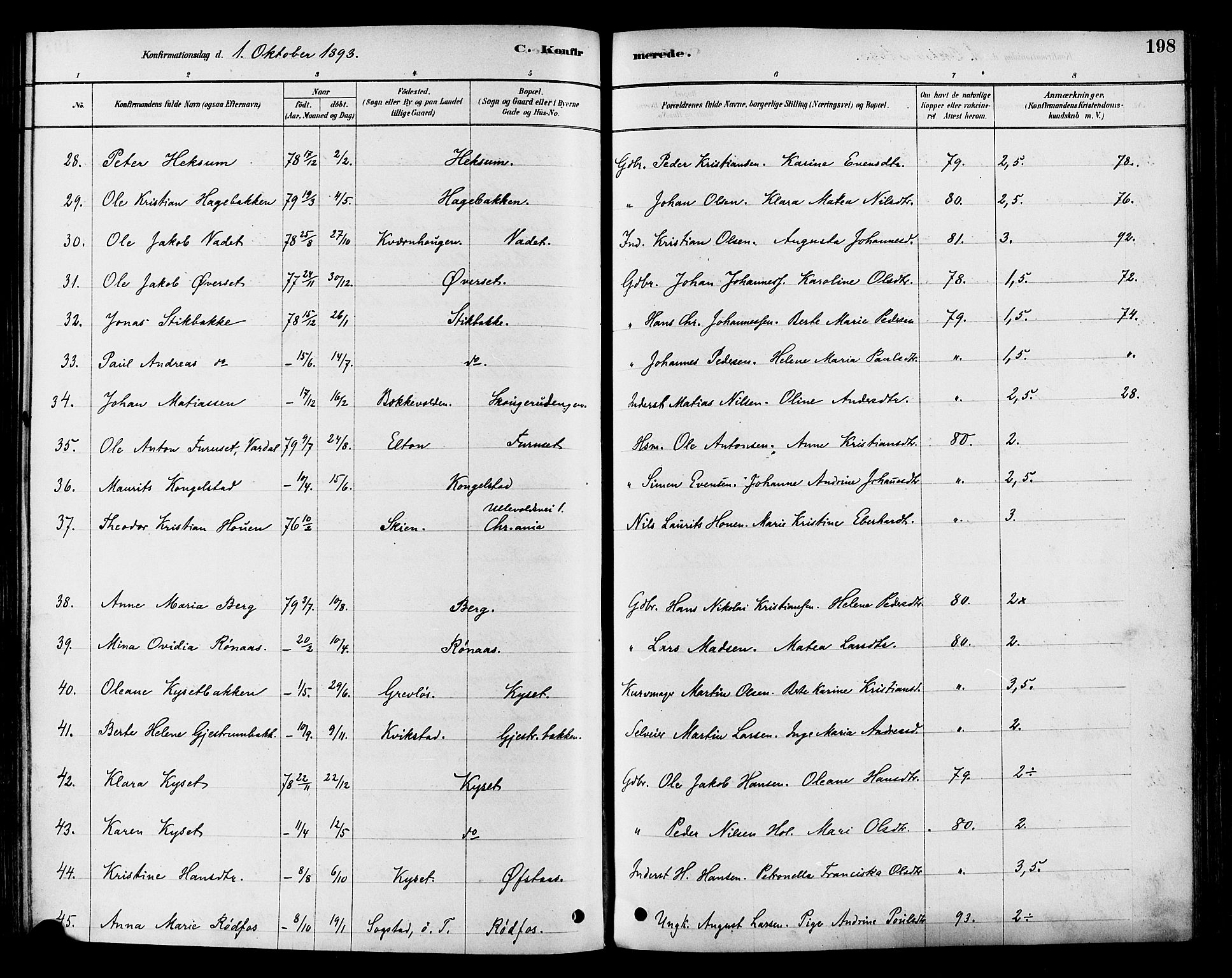 Vestre Toten prestekontor, AV/SAH-PREST-108/H/Ha/Haa/L0009: Parish register (official) no. 9, 1878-1894, p. 198