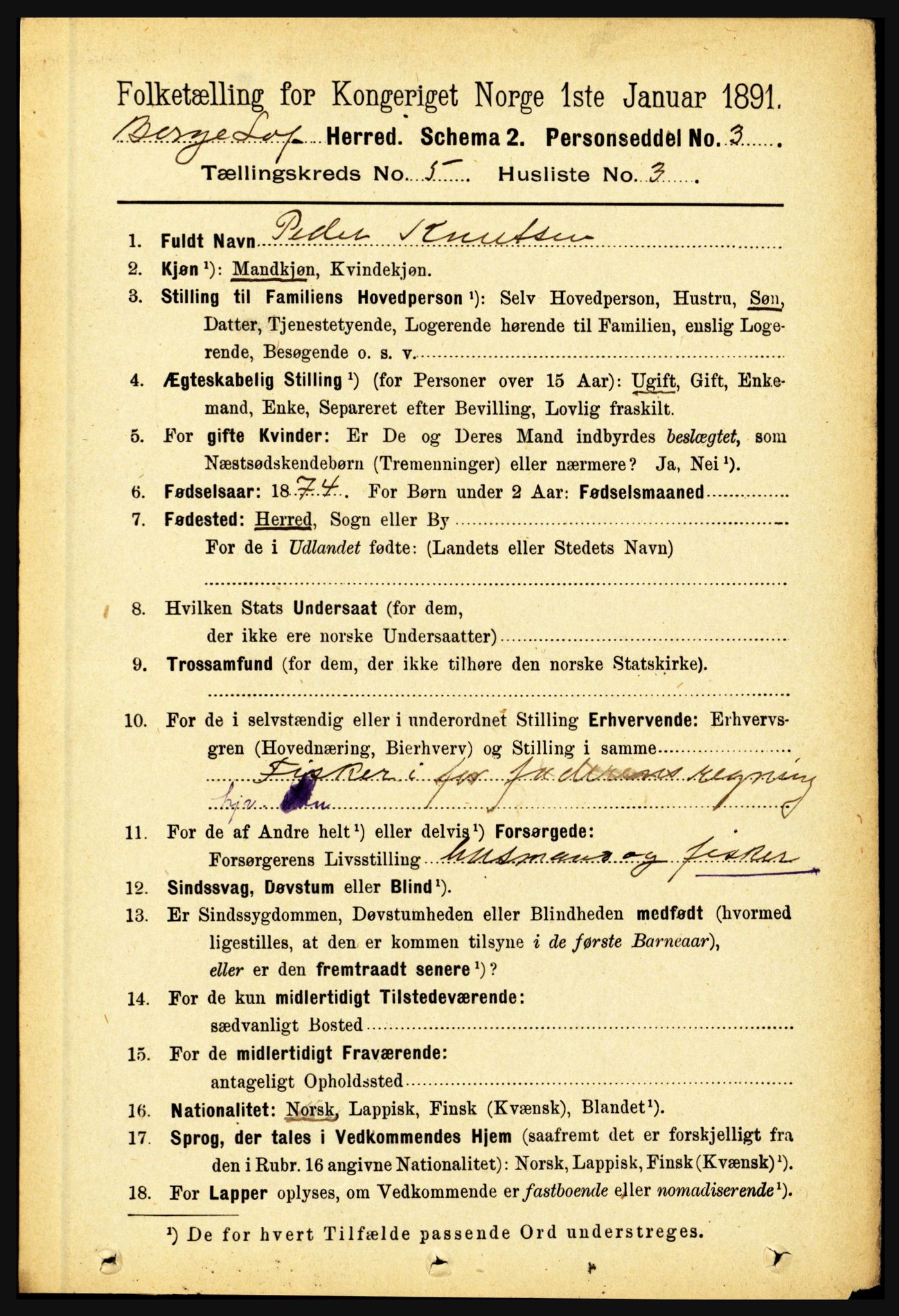 RA, 1891 census for 1862 Borge, 1891, p. 3095