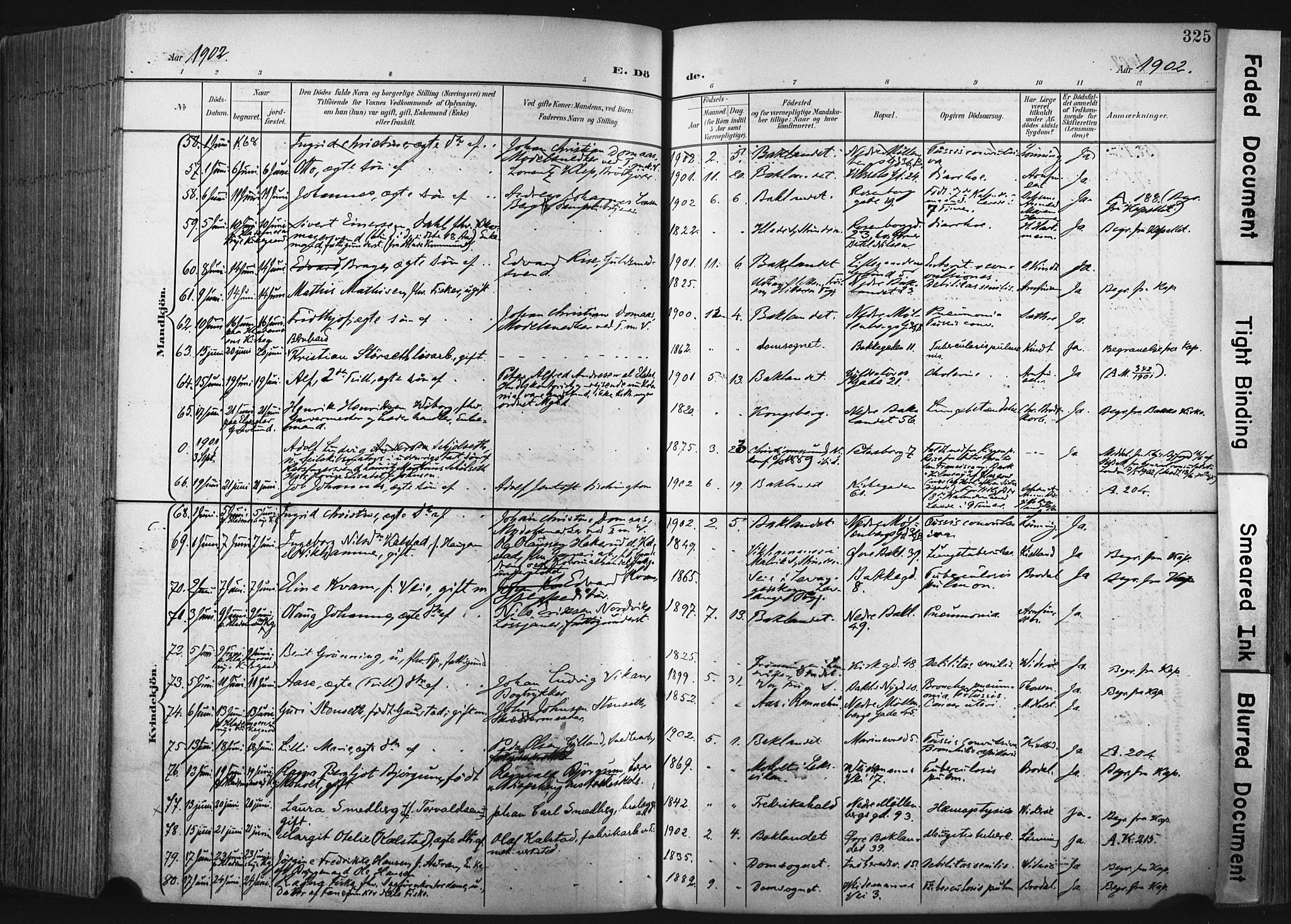 Ministerialprotokoller, klokkerbøker og fødselsregistre - Sør-Trøndelag, AV/SAT-A-1456/604/L0201: Parish register (official) no. 604A21, 1901-1911, p. 325