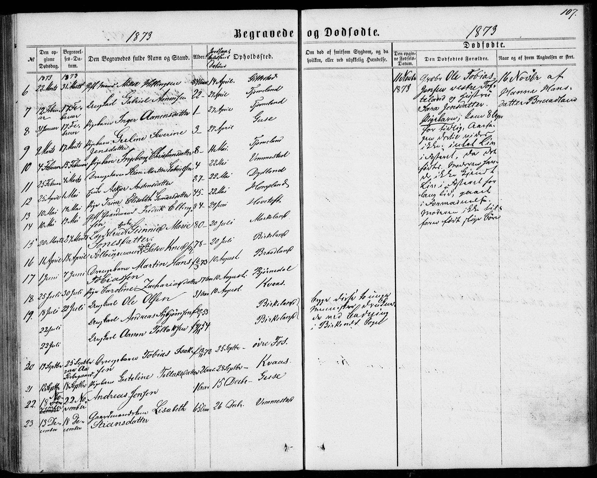 Lyngdal sokneprestkontor, AV/SAK-1111-0029/F/Fa/Fab/L0002: Parish register (official) no. A 2, 1861-1878, p. 107