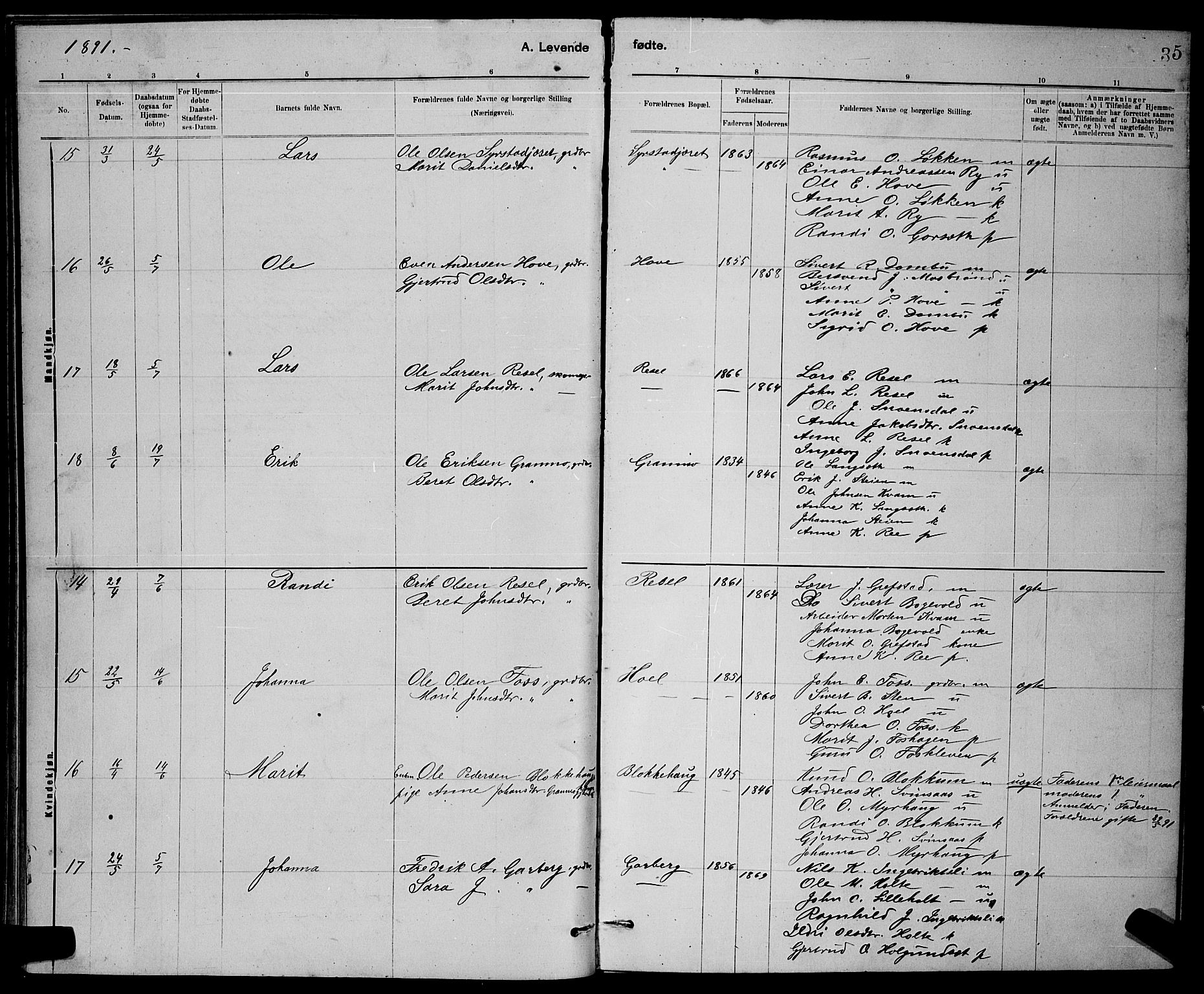 Ministerialprotokoller, klokkerbøker og fødselsregistre - Sør-Trøndelag, SAT/A-1456/672/L0863: Parish register (copy) no. 672C02, 1888-1901, p. 35