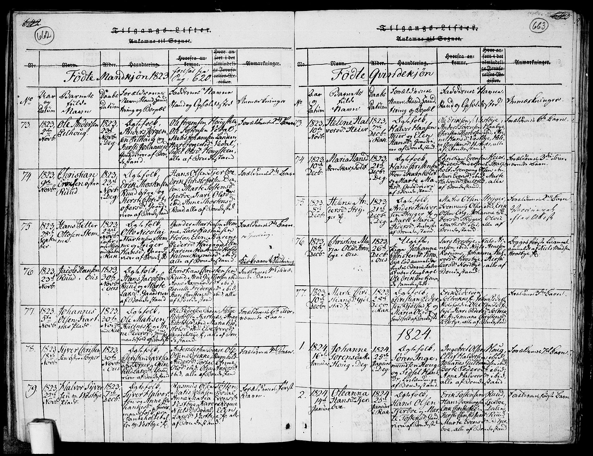 Rakkestad prestekontor Kirkebøker, AV/SAO-A-2008/F/Fa/L0006: Parish register (official) no. I 6, 1814-1824, p. 662-663
