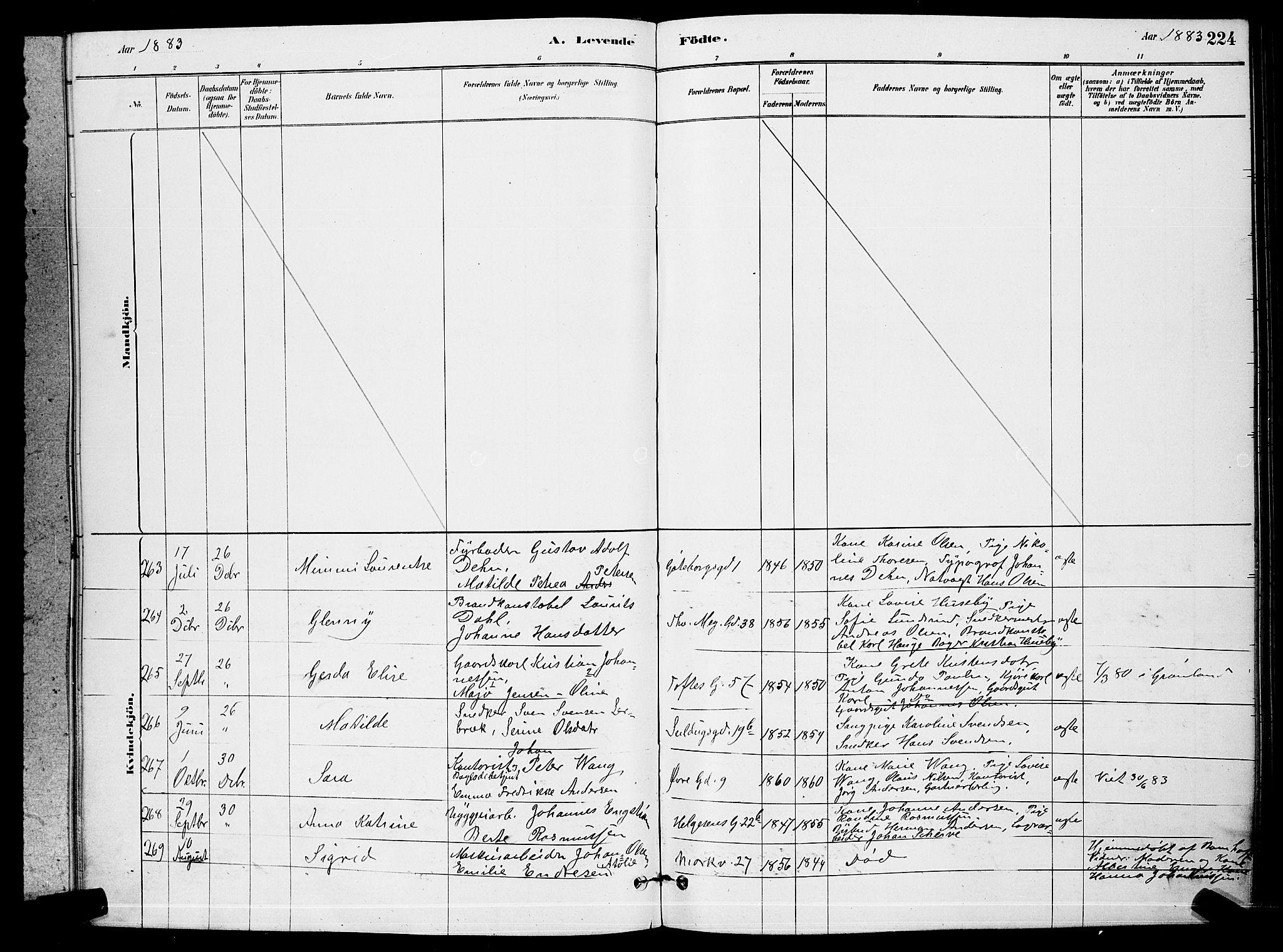 Paulus prestekontor Kirkebøker, AV/SAO-A-10871/G/Ga/L0002: Parish register (copy) no. 2, 1879-1887, p. 224