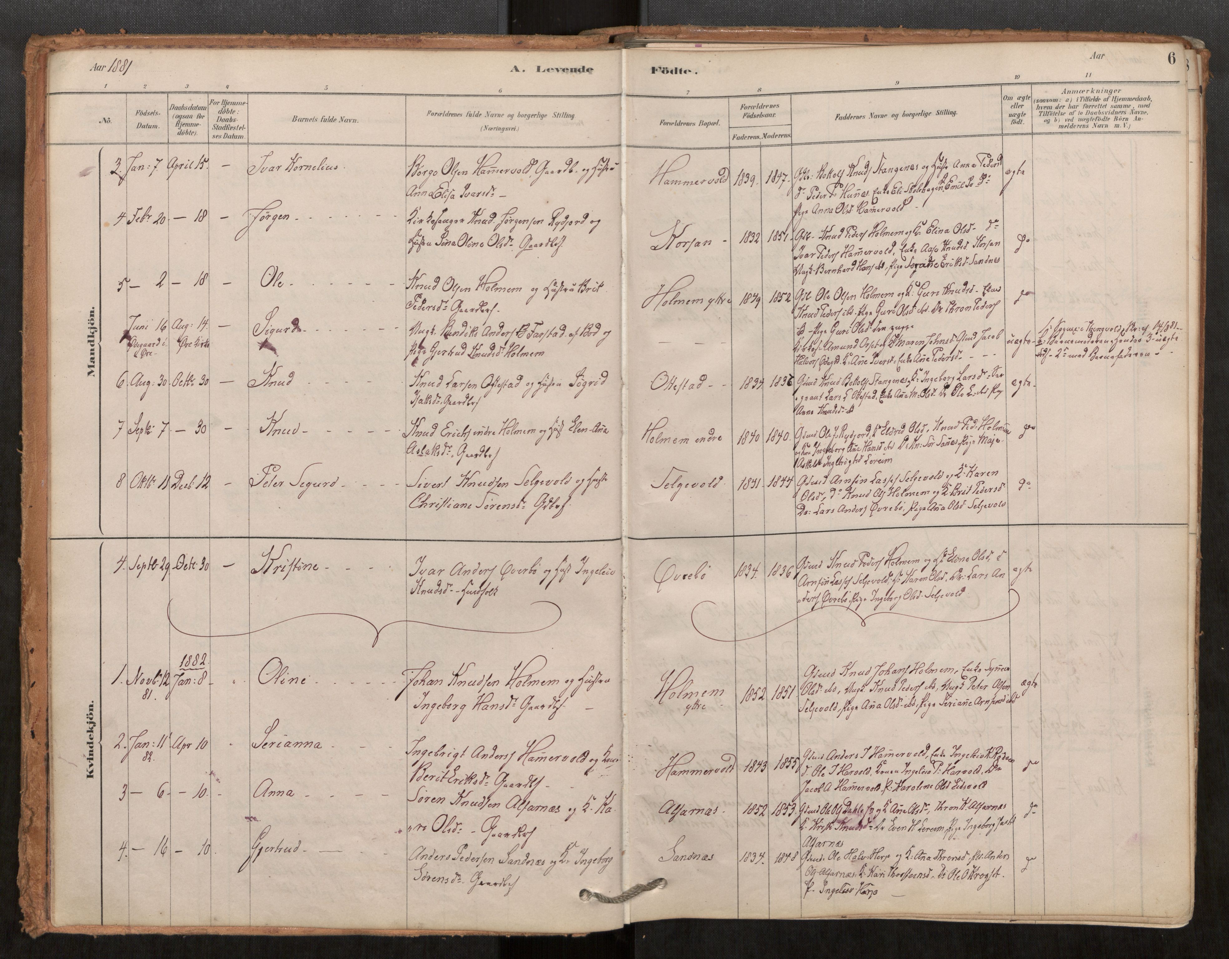 Ministerialprotokoller, klokkerbøker og fødselsregistre - Møre og Romsdal, AV/SAT-A-1454/548/L0615: Parish register (official) no. 548A02, 1878-1906, p. 6