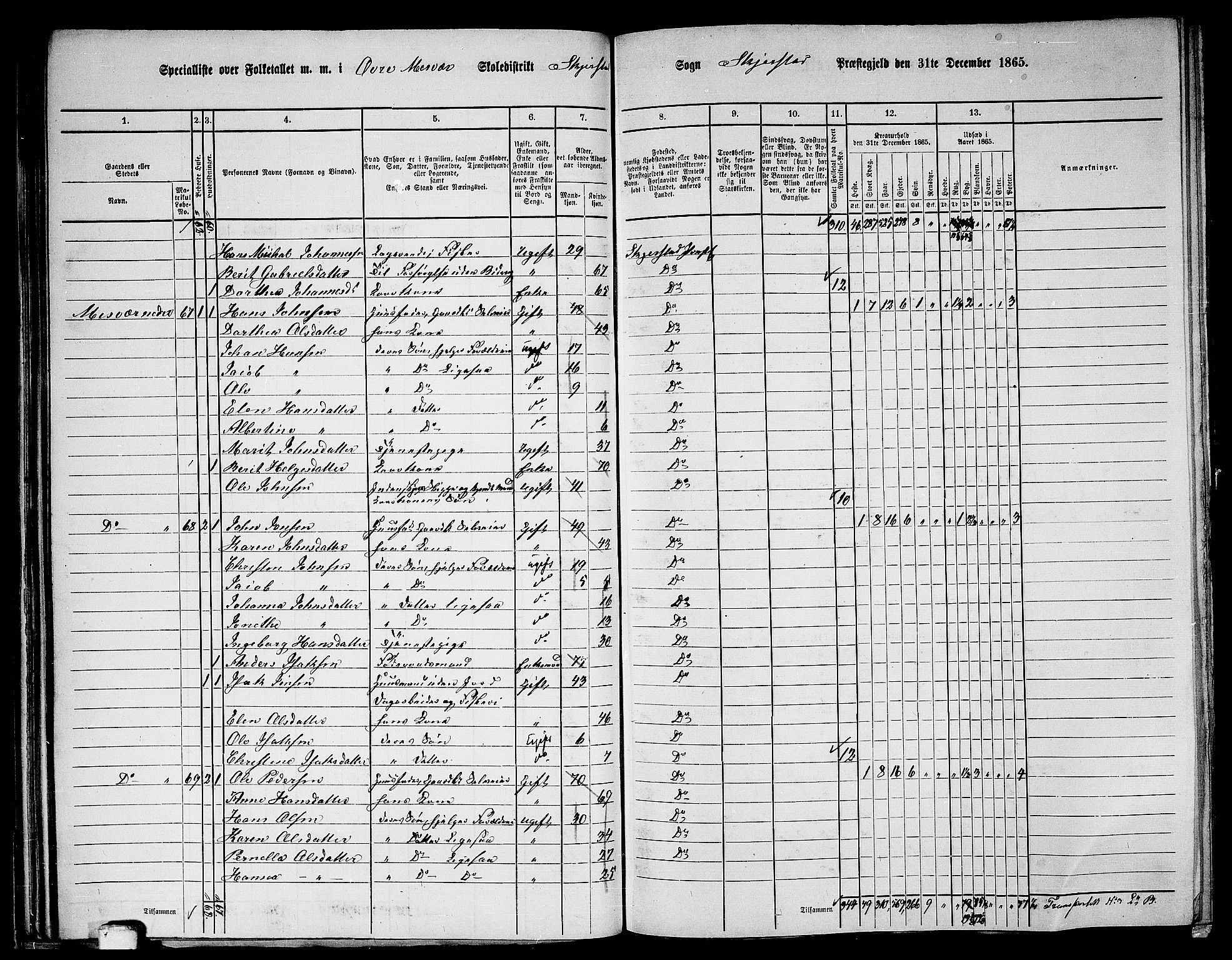 RA, 1865 census for Skjerstad, 1865, p. 65