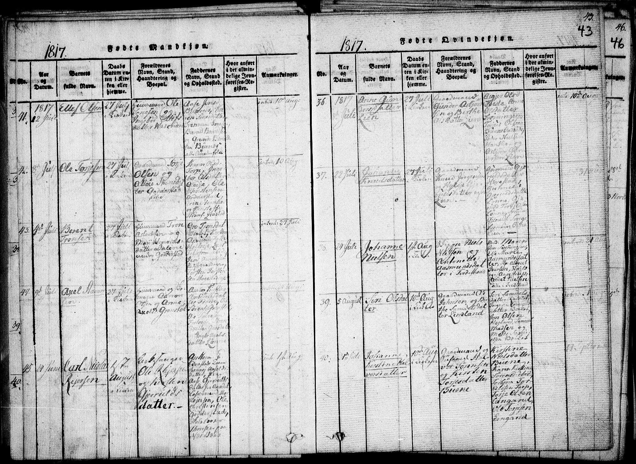 Holt sokneprestkontor, SAK/1111-0021/F/Fa/L0005: Parish register (official) no. A 5, 1813-1821, p. 43
