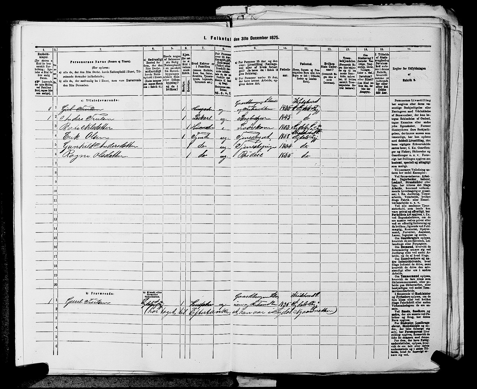 SAKO, 1875 census for 0621P Sigdal, 1875, p. 1185