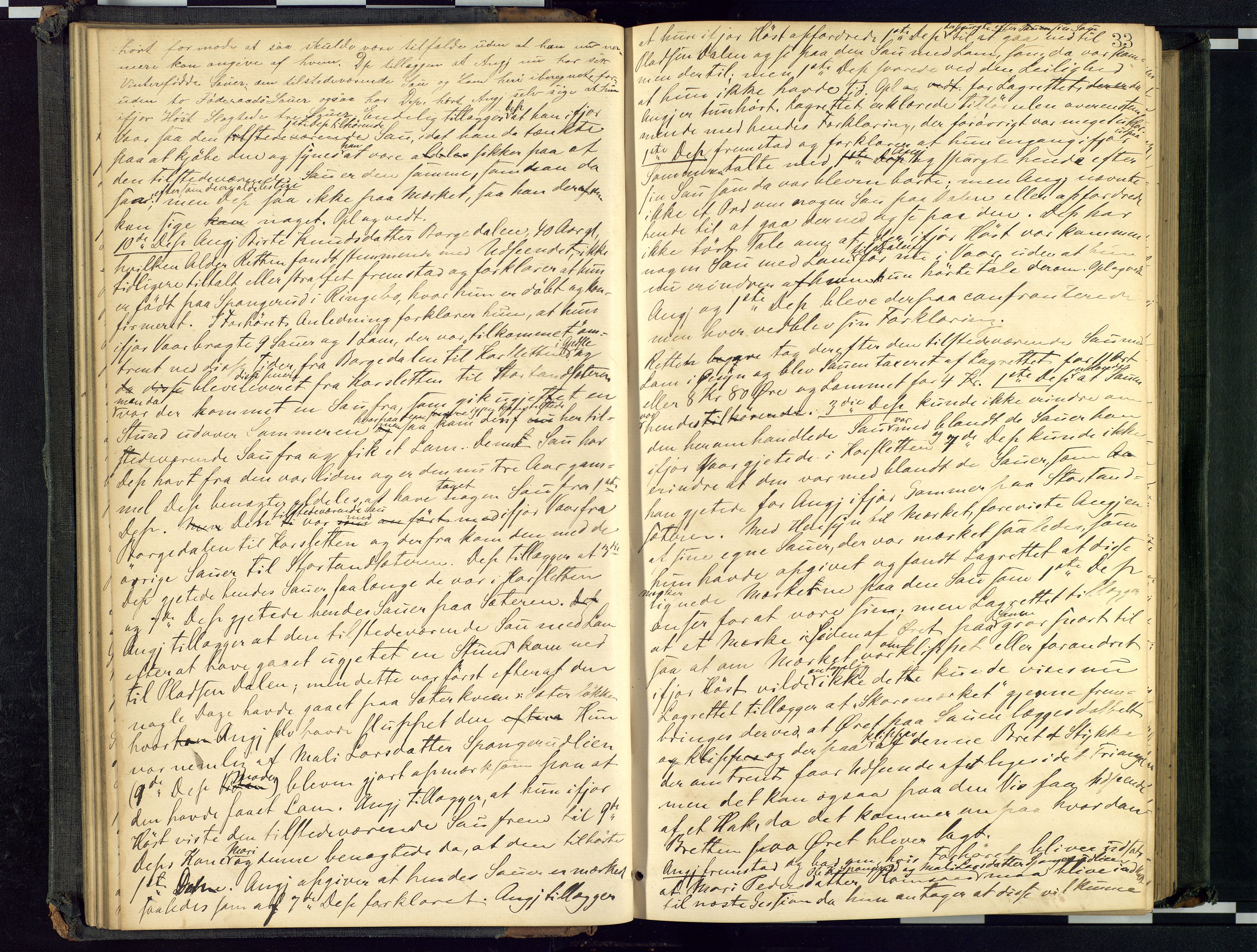 Mellom-Gudbrandsdal sorenskriveri, AV/SAH-TING-038/G/Gc/Gca/L0015: Ekstrarettsprotokoll, 1879-1884, p. 33