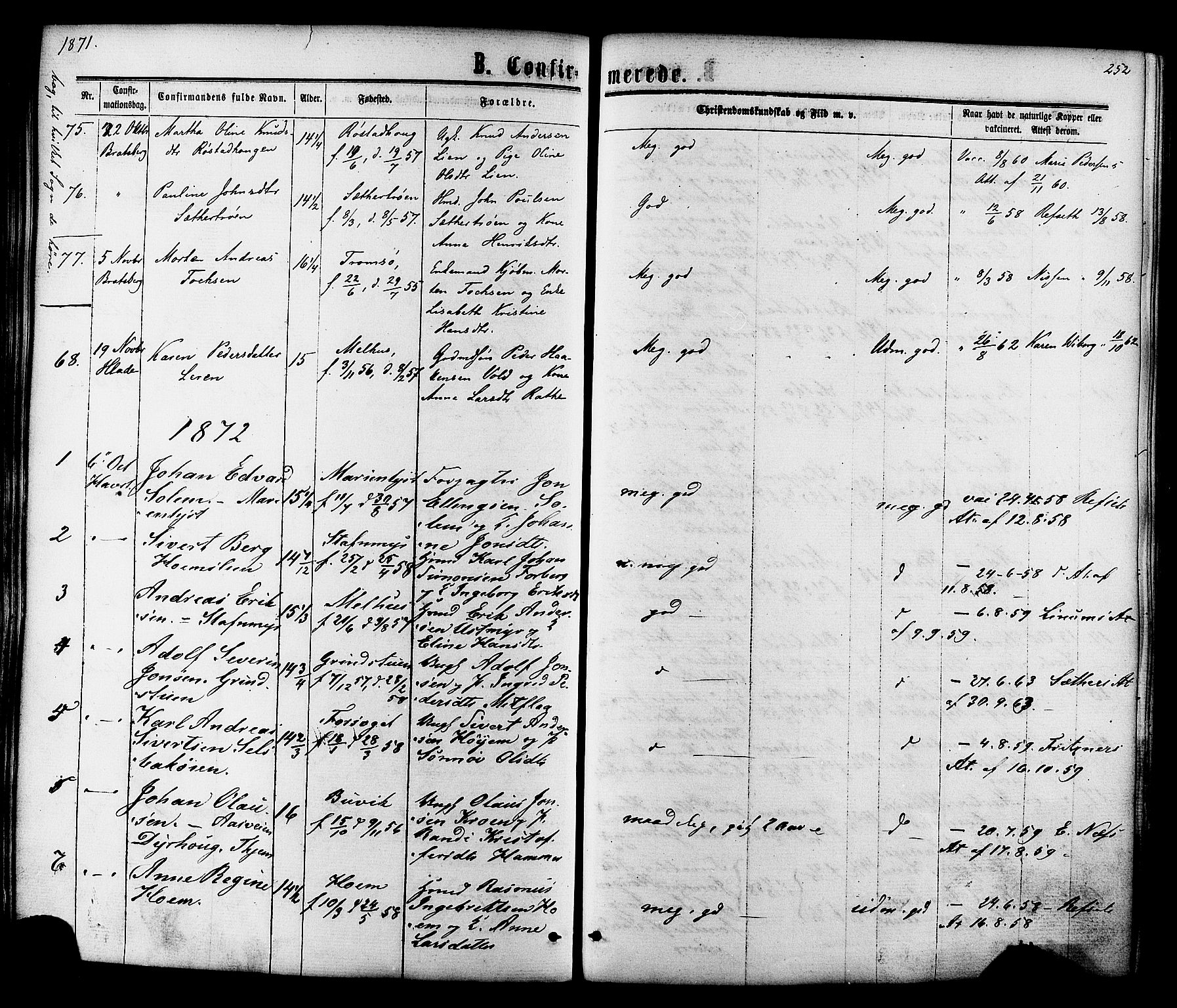 Ministerialprotokoller, klokkerbøker og fødselsregistre - Sør-Trøndelag, SAT/A-1456/606/L0293: Parish register (official) no. 606A08, 1866-1877, p. 252