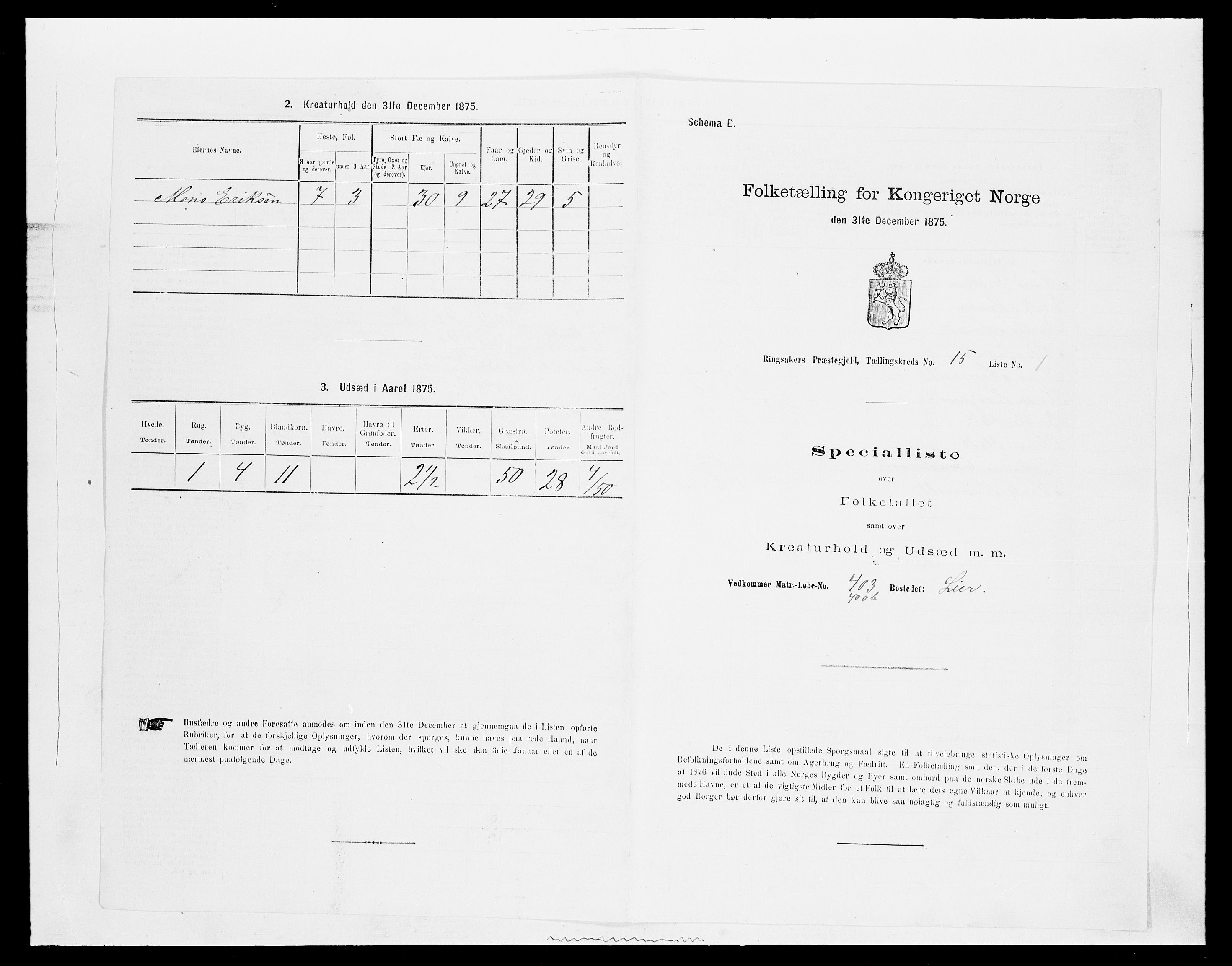 SAH, 1875 census for 0412P Ringsaker, 1875, p. 3142