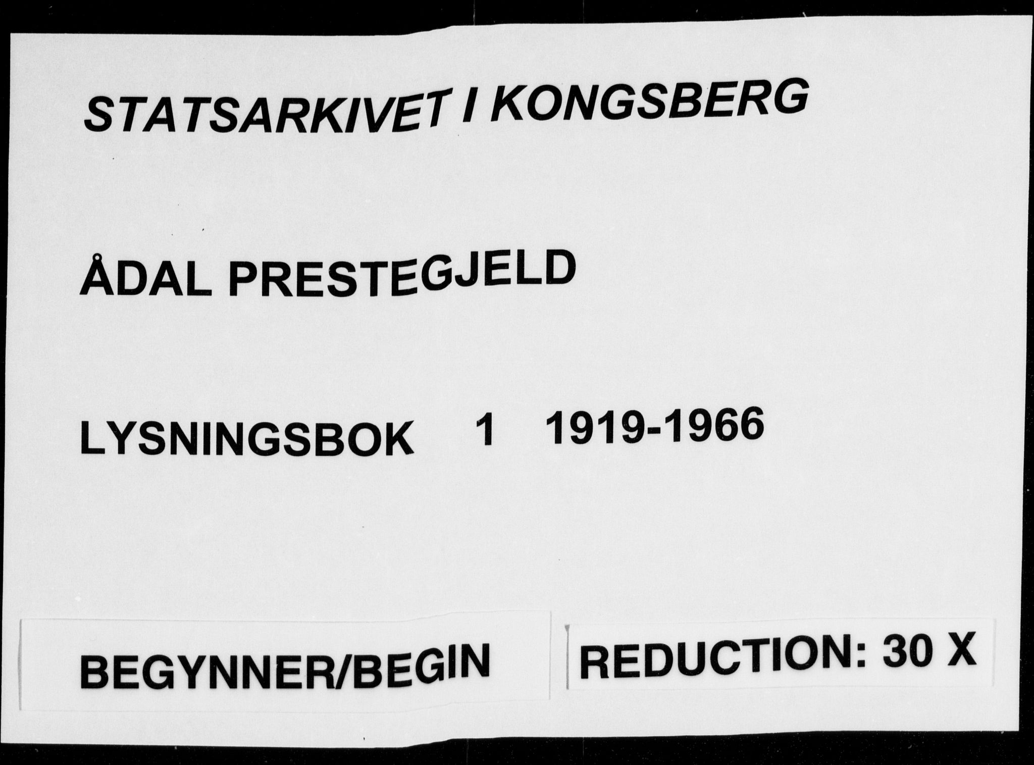 Ådal kirkebøker, AV/SAKO-A-248/H/Ha/L0001: Banns register no. 1, 1919-1966