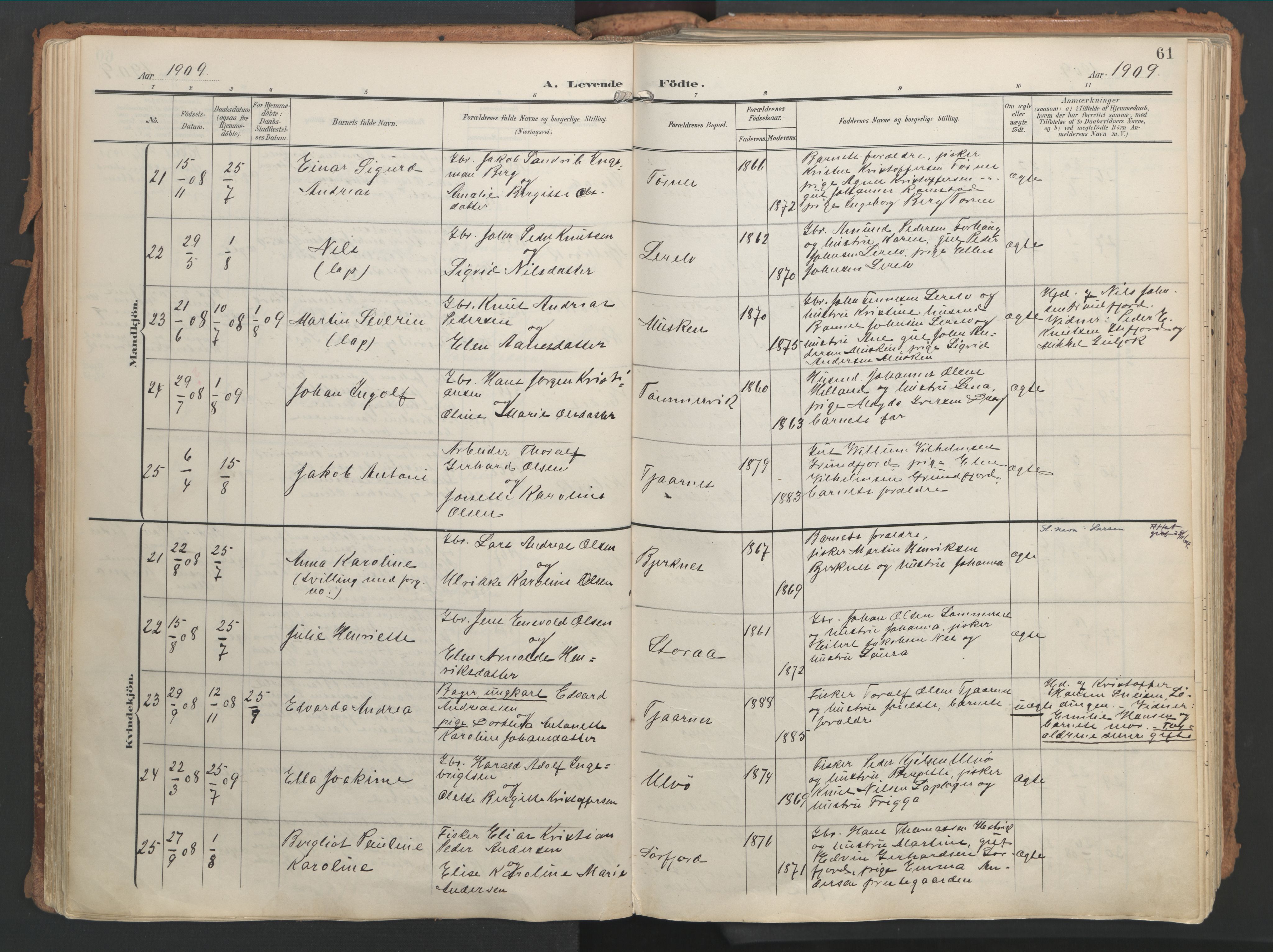 Ministerialprotokoller, klokkerbøker og fødselsregistre - Nordland, AV/SAT-A-1459/861/L0871: Parish register (official) no. 861A06, 1903-1916, p. 61