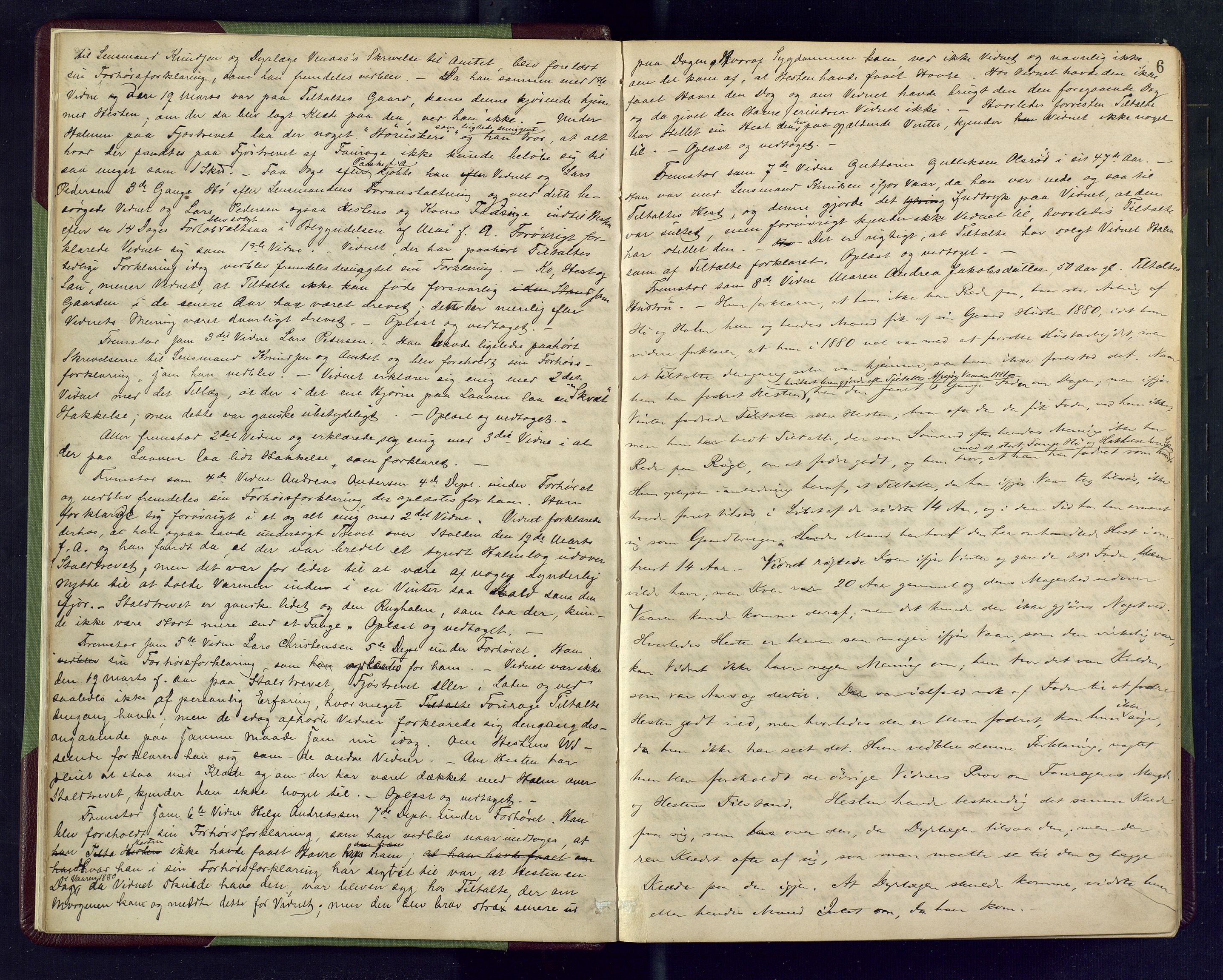Søndre Jarlsberg sorenskriveri, AV/SAKO-A-129/F/Fb/L0012: Ekstrarettsprotokoll, 1882-1888, p. 6