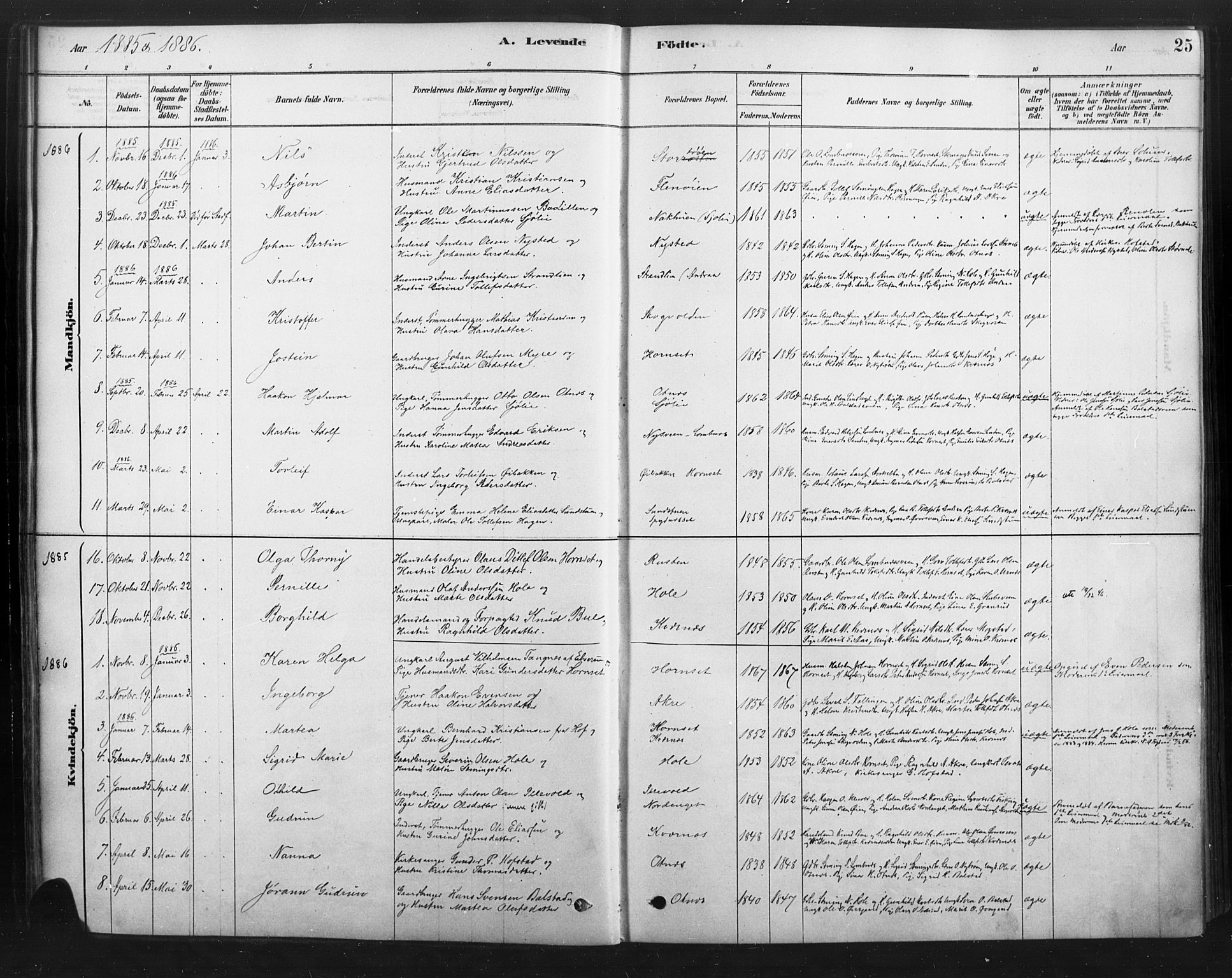 Rendalen prestekontor, SAH/PREST-054/H/Ha/Haa/L0010: Parish register (official) no. 10, 1878-1901, p. 25