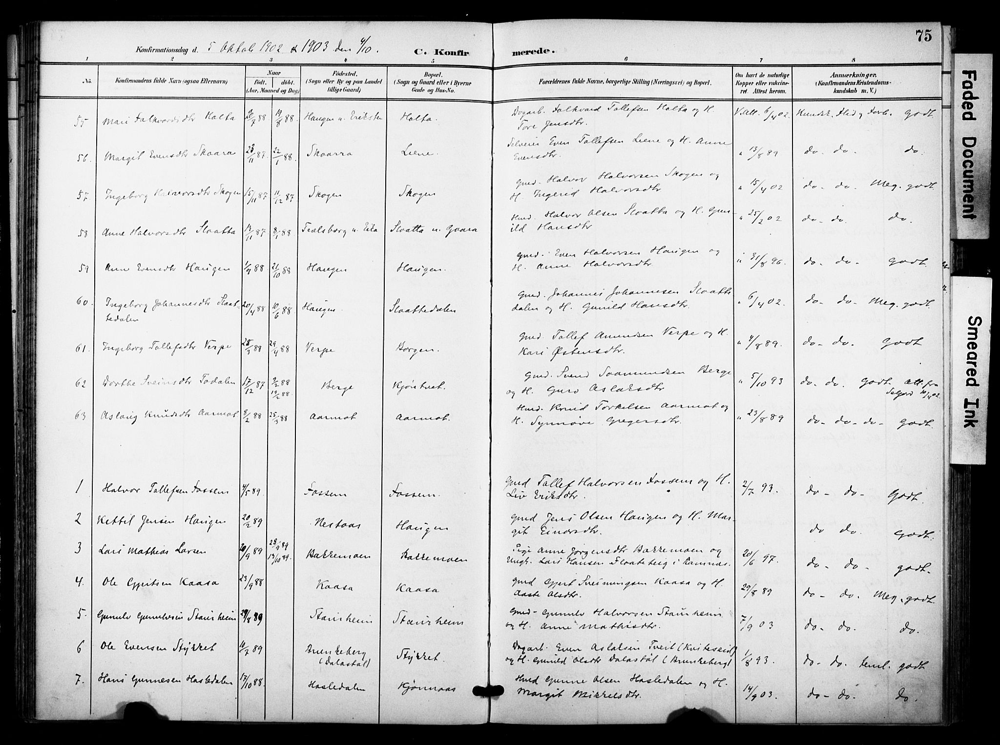 Bø kirkebøker, SAKO/A-257/F/Fa/L0012: Parish register (official) no. 12, 1900-1908, p. 75