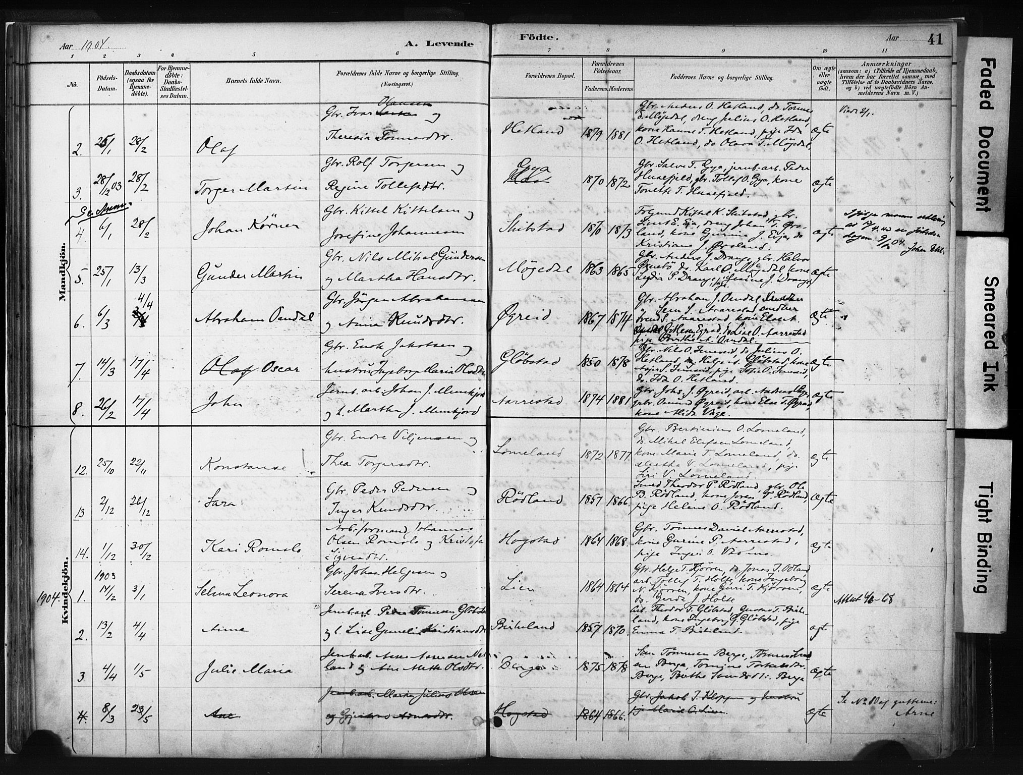 Helleland sokneprestkontor, SAST/A-101810: Parish register (official) no. A 8, 1887-1907, p. 41