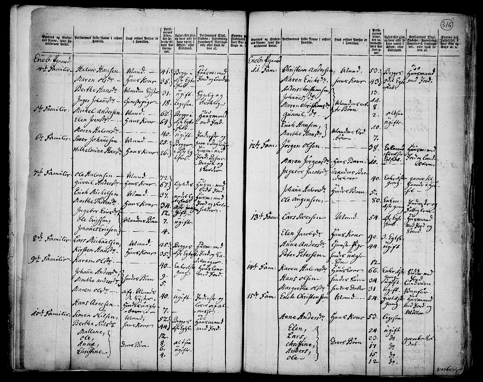 RA, 1801 census for 0229P Enebakk, 1801, p. 315b-316a