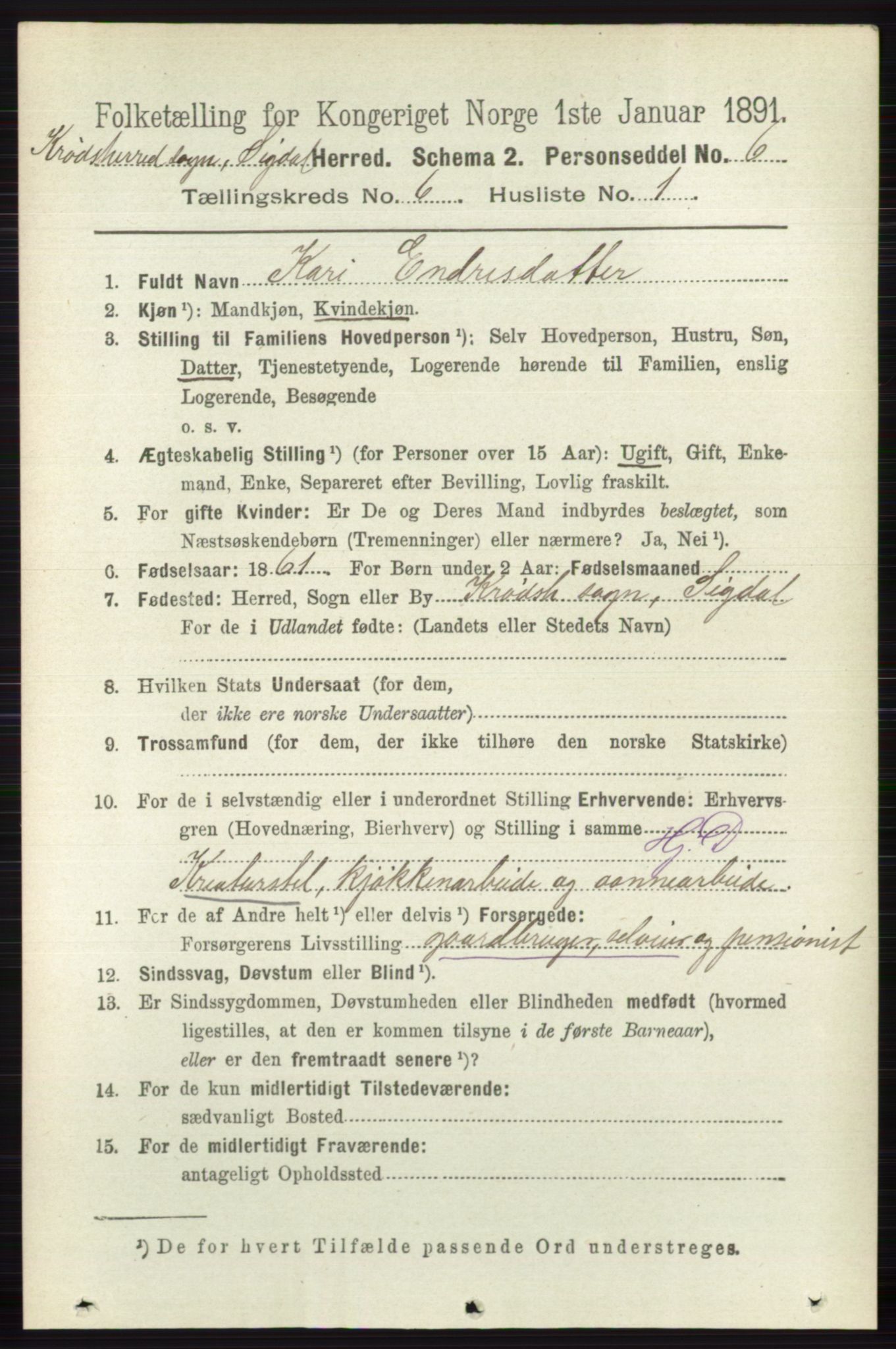 RA, 1891 census for 0621 Sigdal, 1891, p. 6638