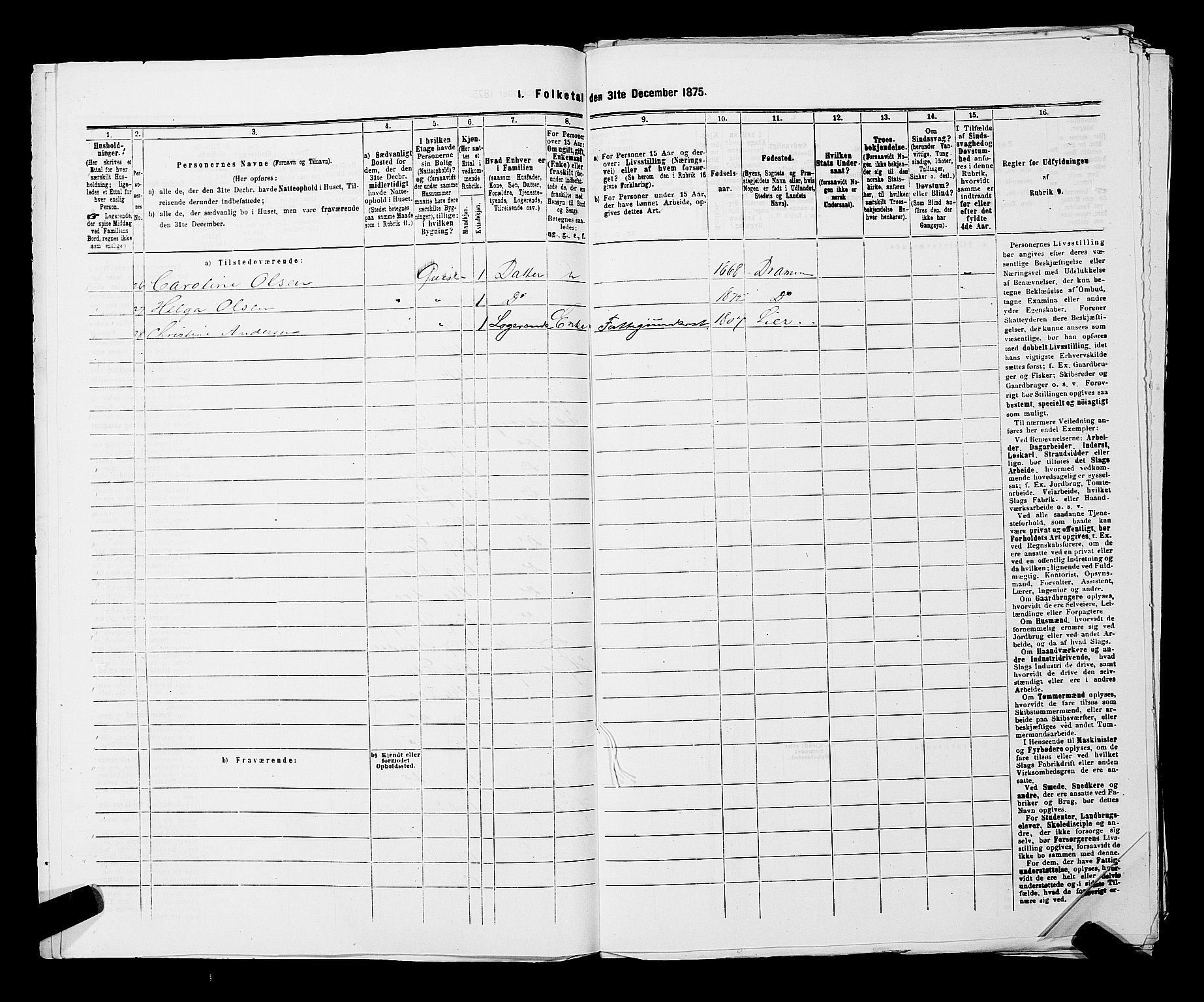 SAKO, 1875 census for 0602 Drammen, 1875, p. 2960