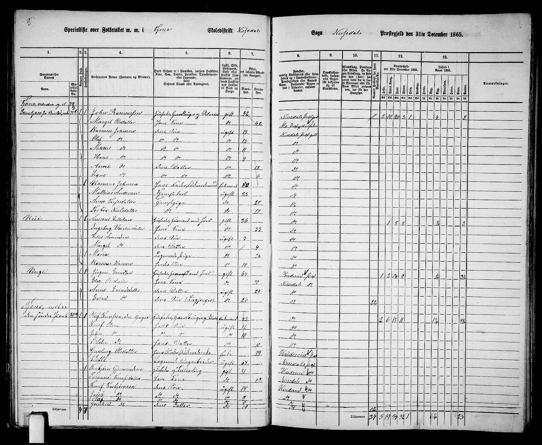 RA, 1865 census for Nissedal, 1865, p. 43