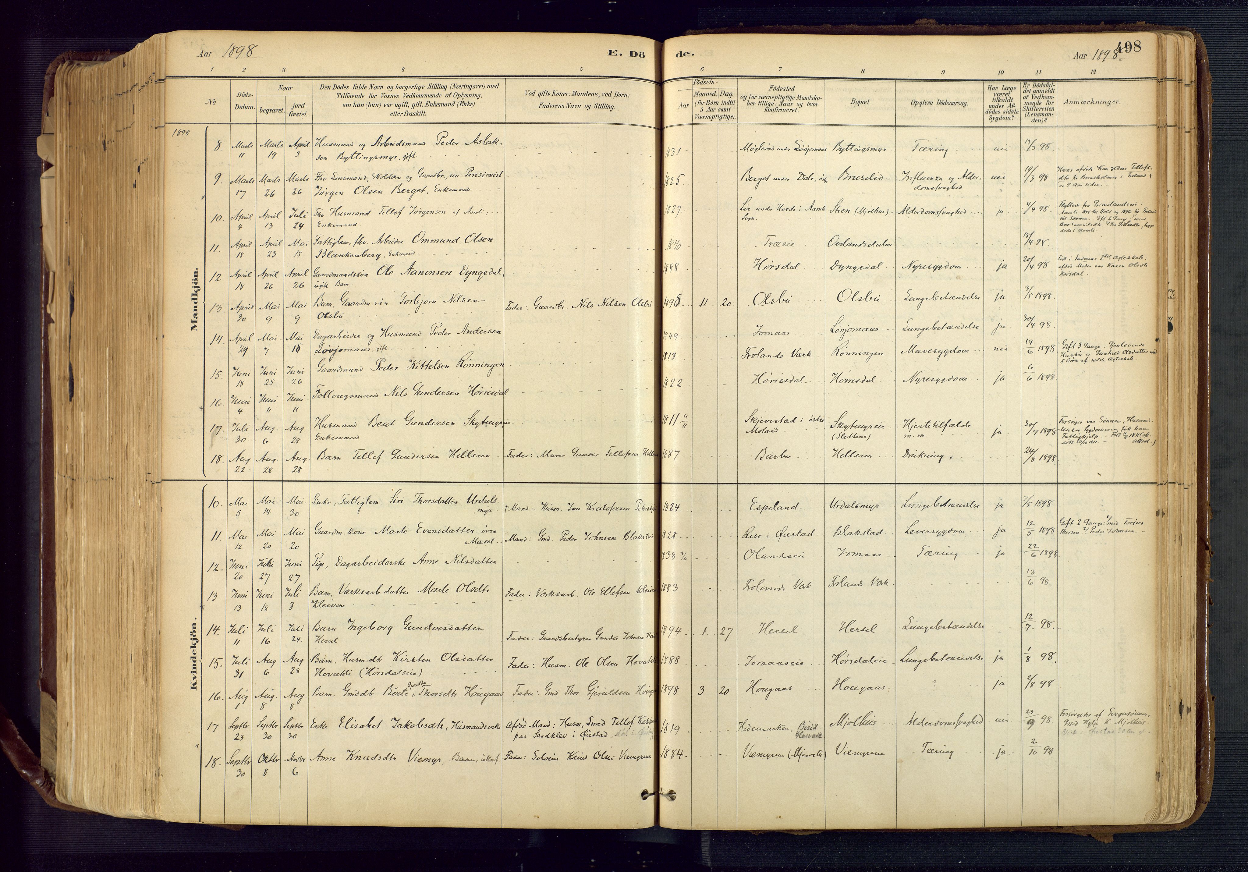 Froland sokneprestkontor, SAK/1111-0013/F/Fa/L0005: Parish register (official) no. A 5, 1882-1921, p. 498
