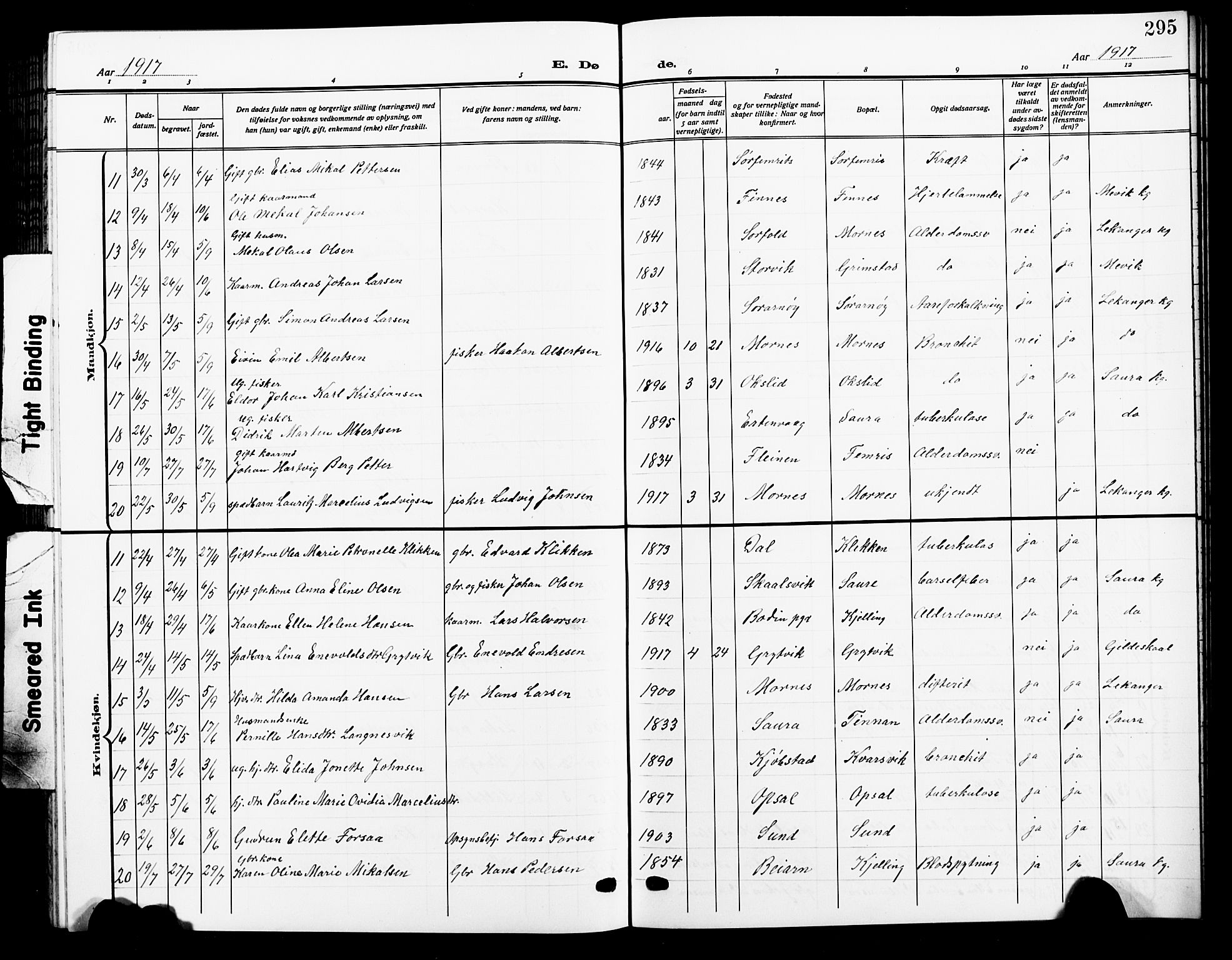 Ministerialprotokoller, klokkerbøker og fødselsregistre - Nordland, AV/SAT-A-1459/805/L0110: Parish register (copy) no. 805C06, 1909-1924, p. 295