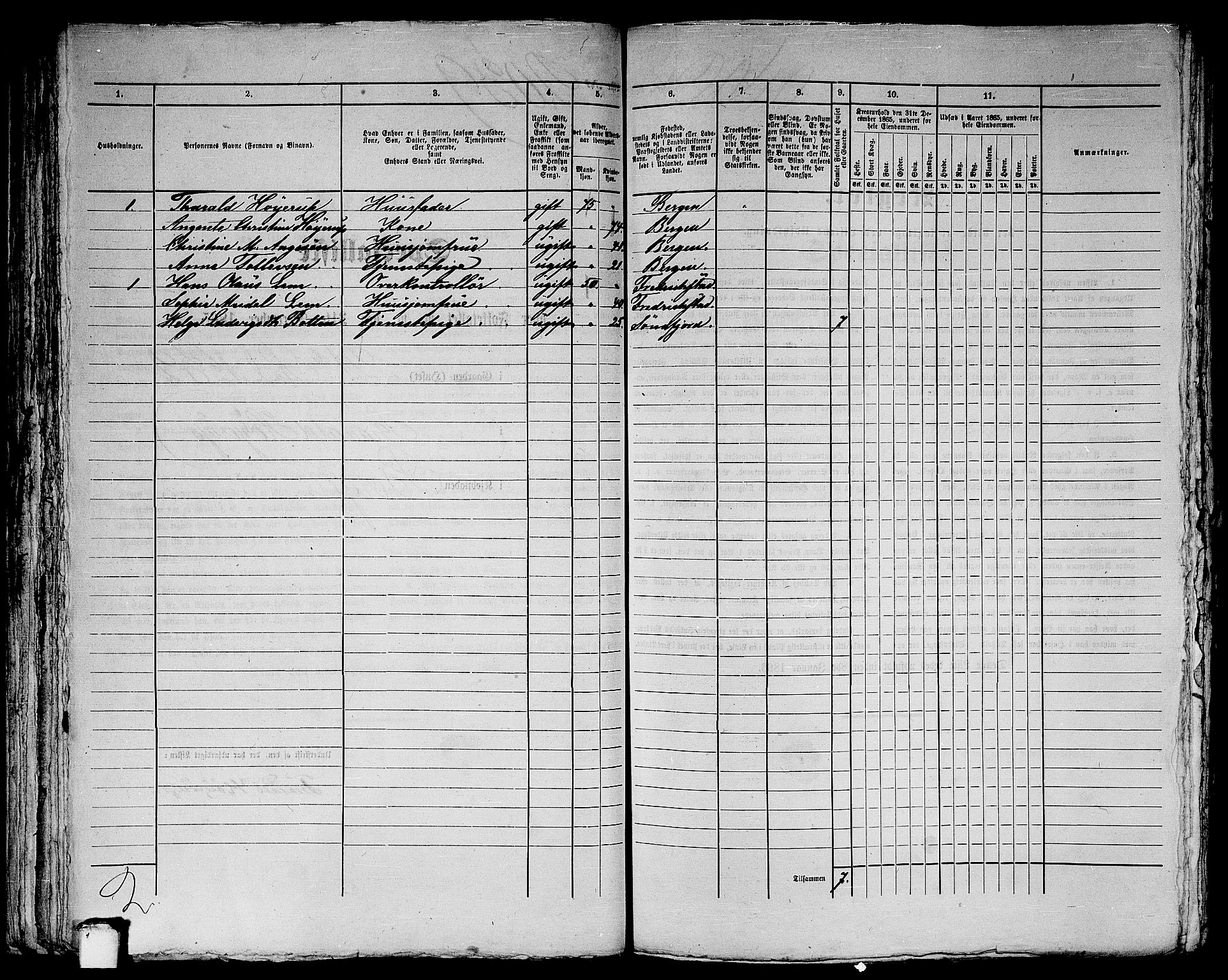 RA, 1865 census for Bergen, 1865, p. 4171