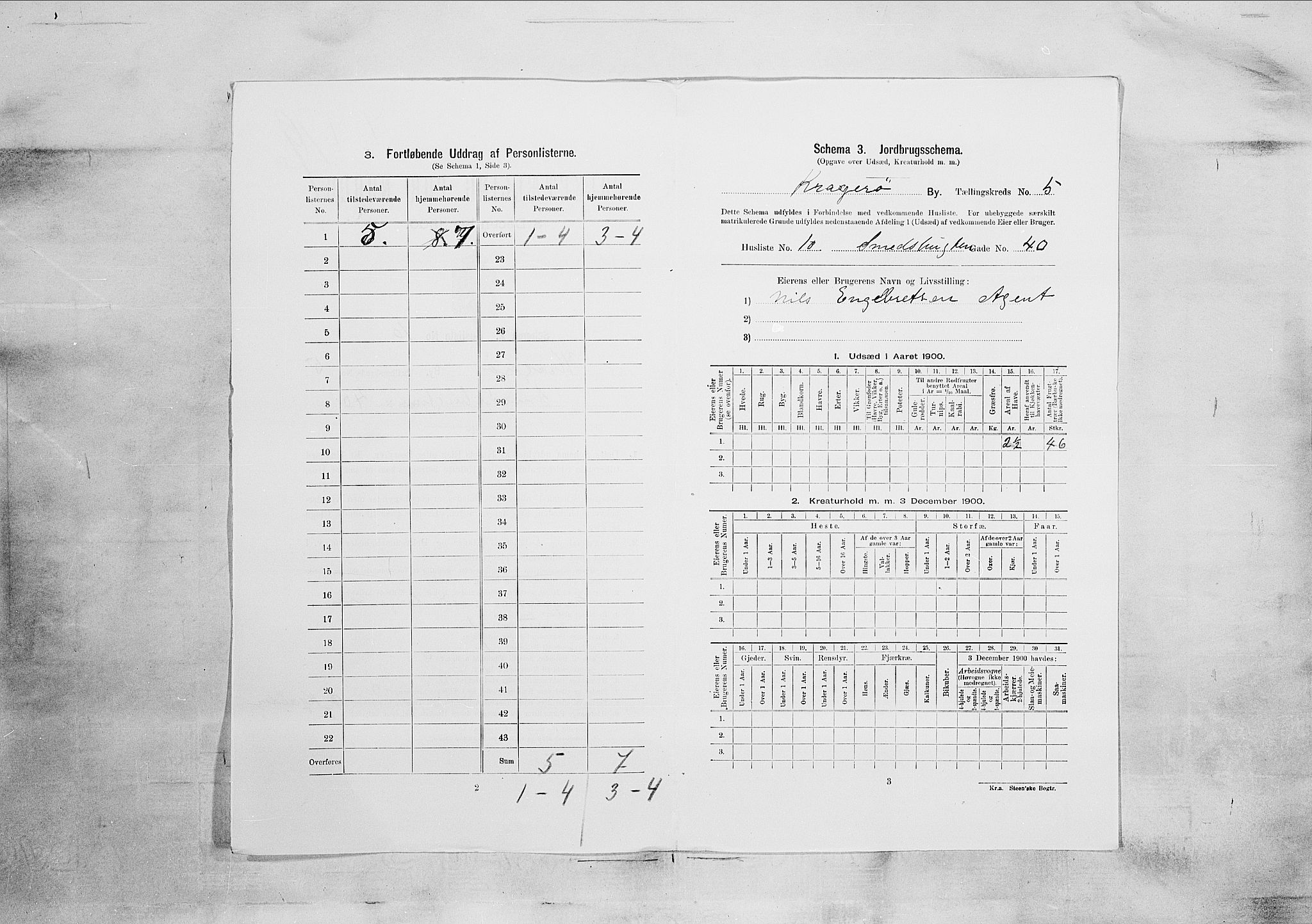 SAKO, 1900 census for Kragerø, 1900, p. 3827