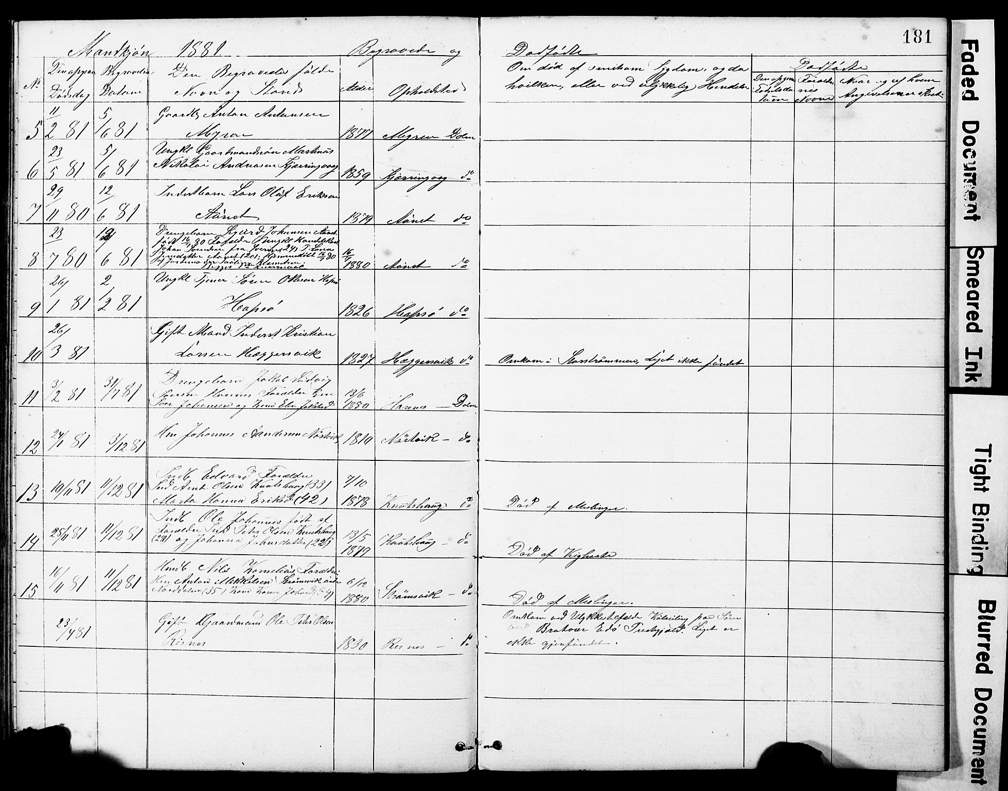 Ministerialprotokoller, klokkerbøker og fødselsregistre - Sør-Trøndelag, SAT/A-1456/634/L0541: Parish register (copy) no. 634C03, 1874-1891, p. 181