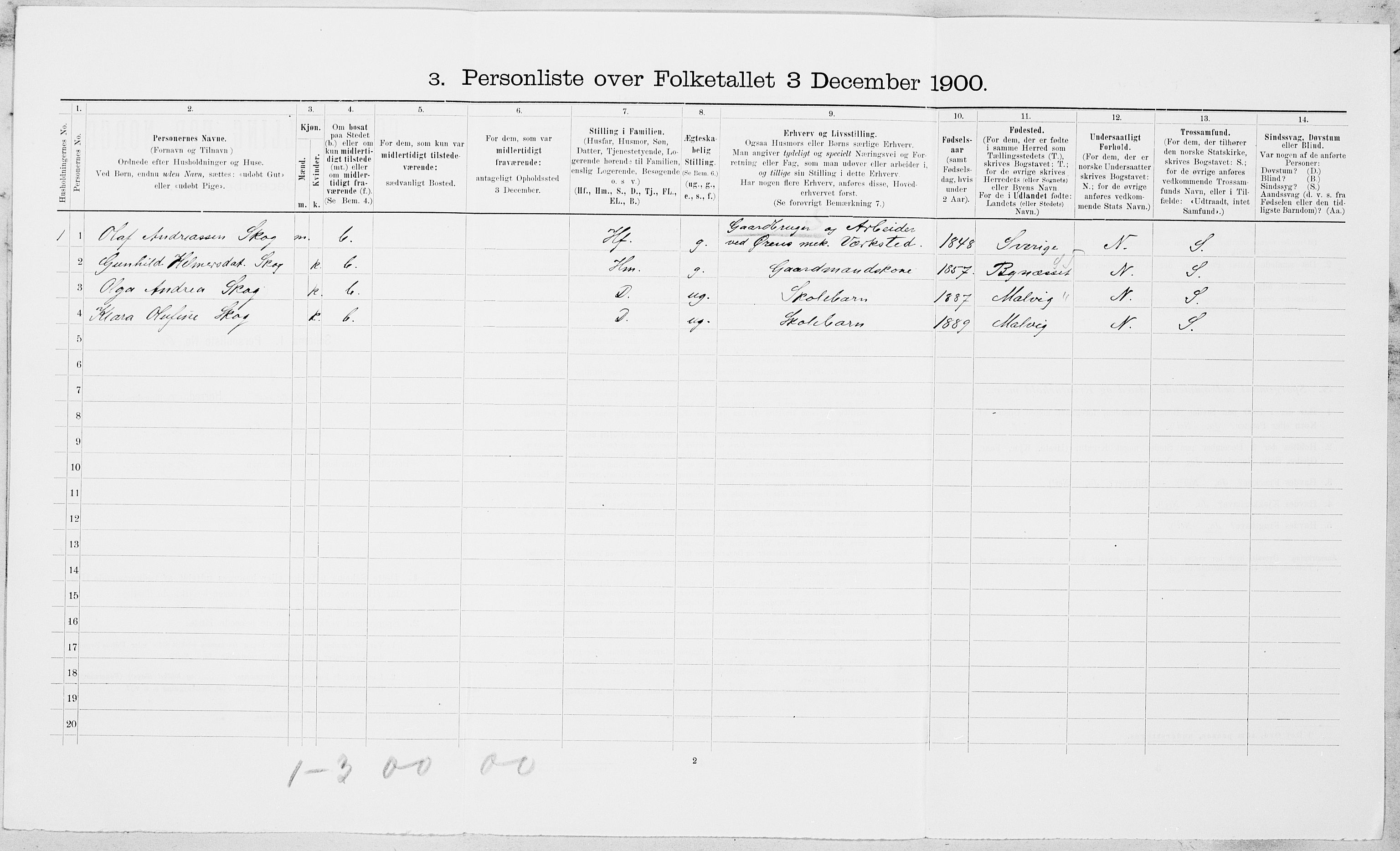 SAT, 1900 census for Strinda, 1900, p. 1105
