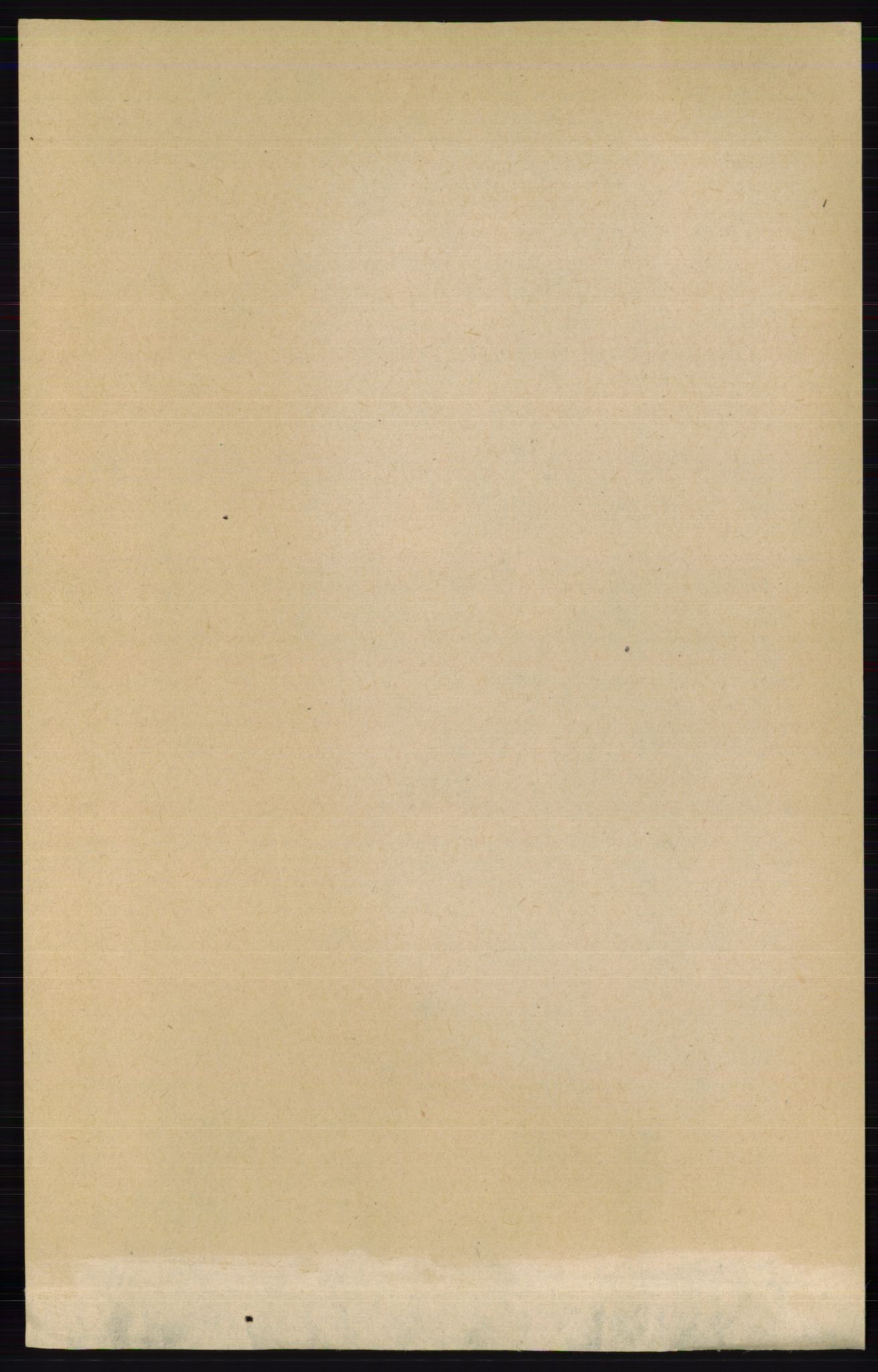 RA, 1891 census for 0419 Sør-Odal, 1891, p. 3975
