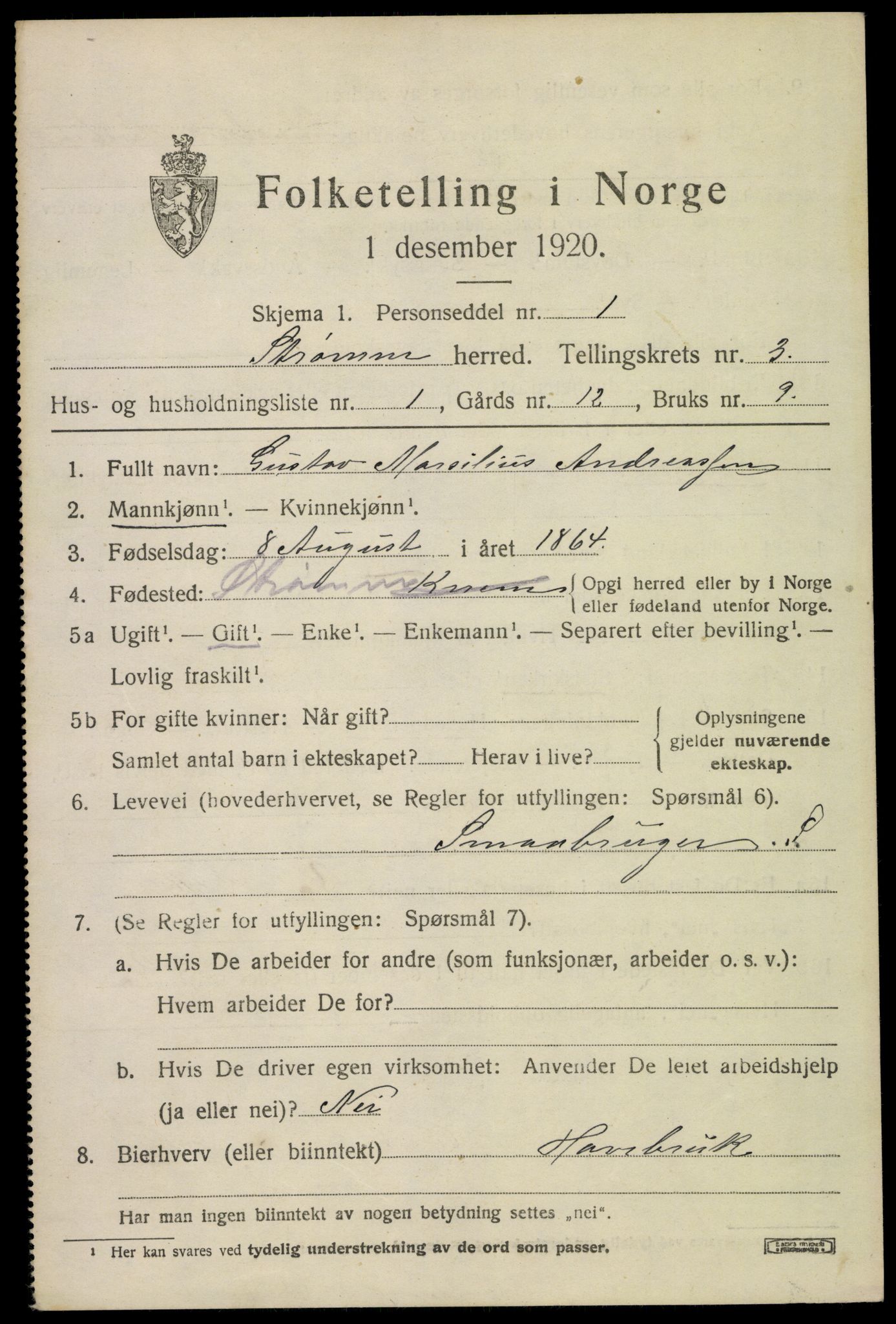 SAKO, 1920 census for Strømm, 1920, p. 2019