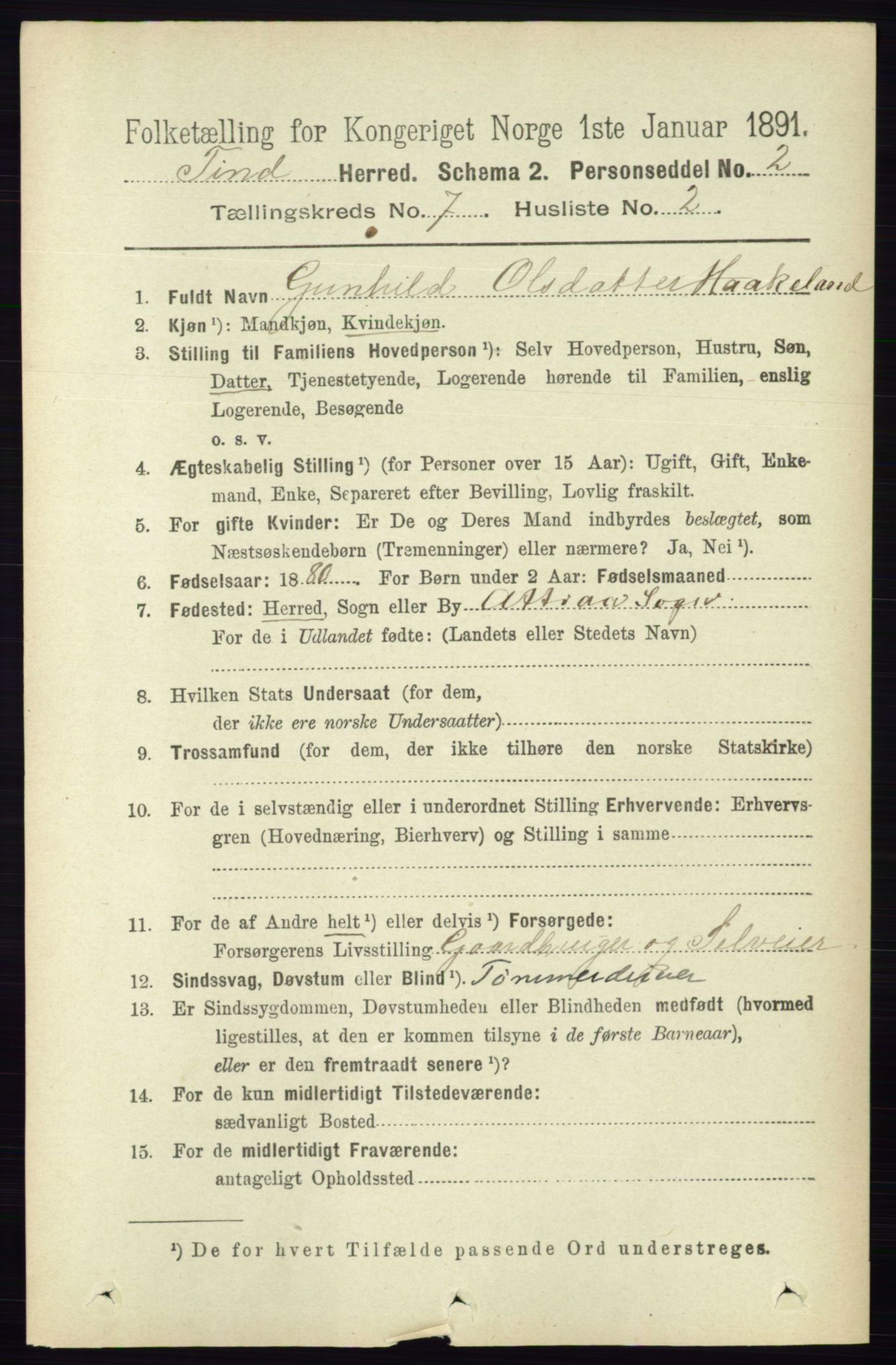 RA, 1891 census for 0826 Tinn, 1891, p. 1446